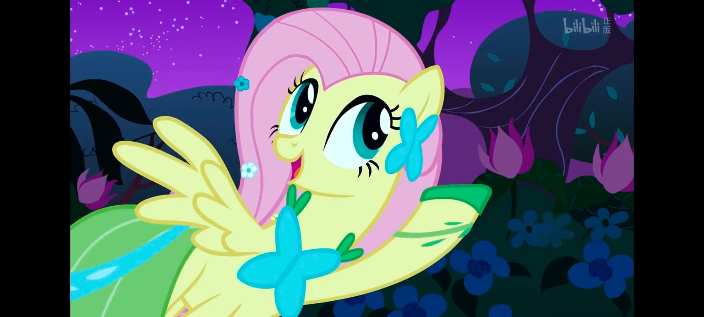 小马宝莉,小马宝莉友谊魔法,彩虹小马,我的小马驹,动画,动漫,番剧,ACG