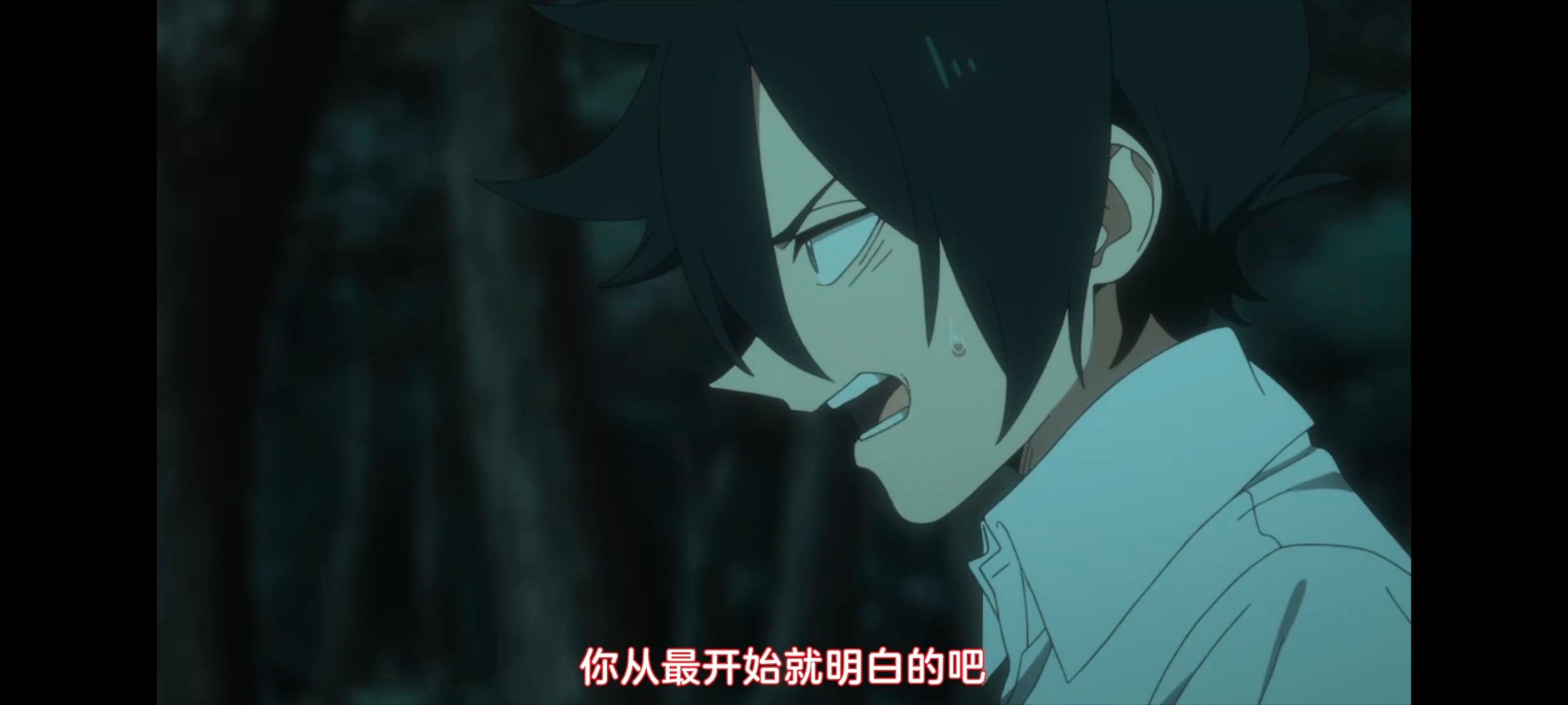 约定的梦幻岛,动画,动漫,番剧,ACG