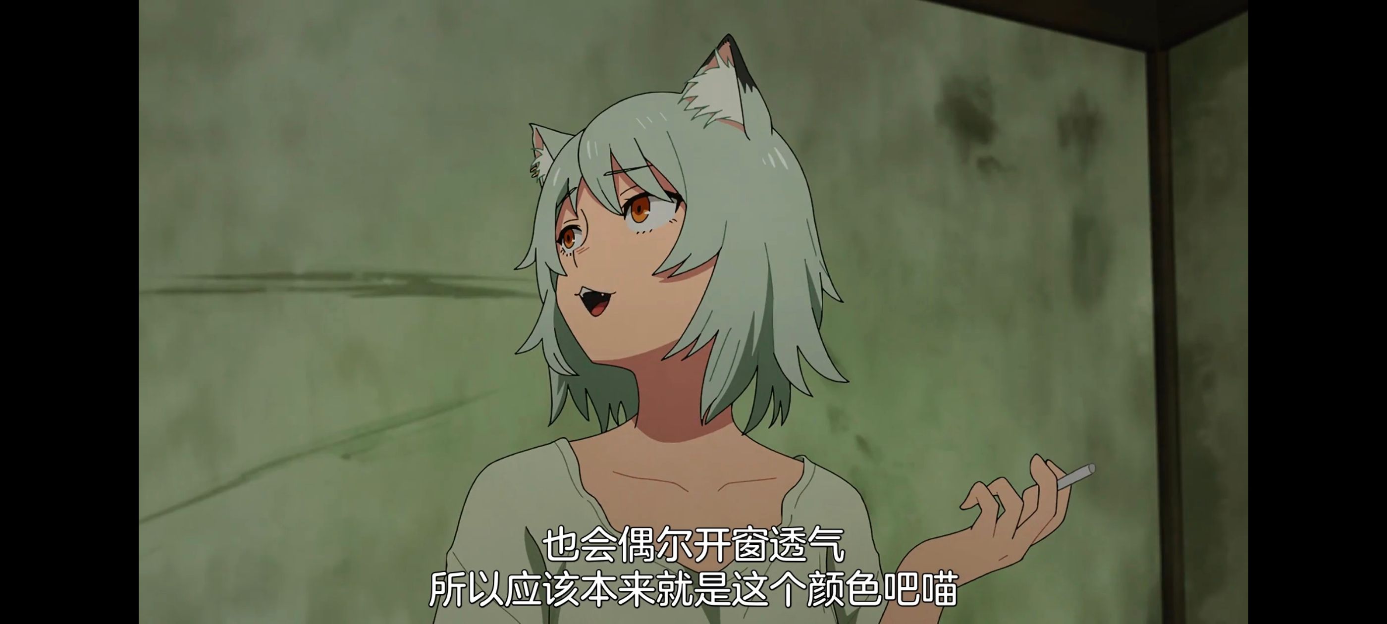 雅尼猫,尼古喵喵,动画,动漫,番剧,日漫,二次元,ACG