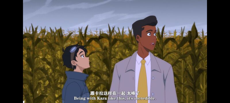 我与超人的冒险,DC,动画,动漫,美漫,超级英雄,番剧,二次元,ACG