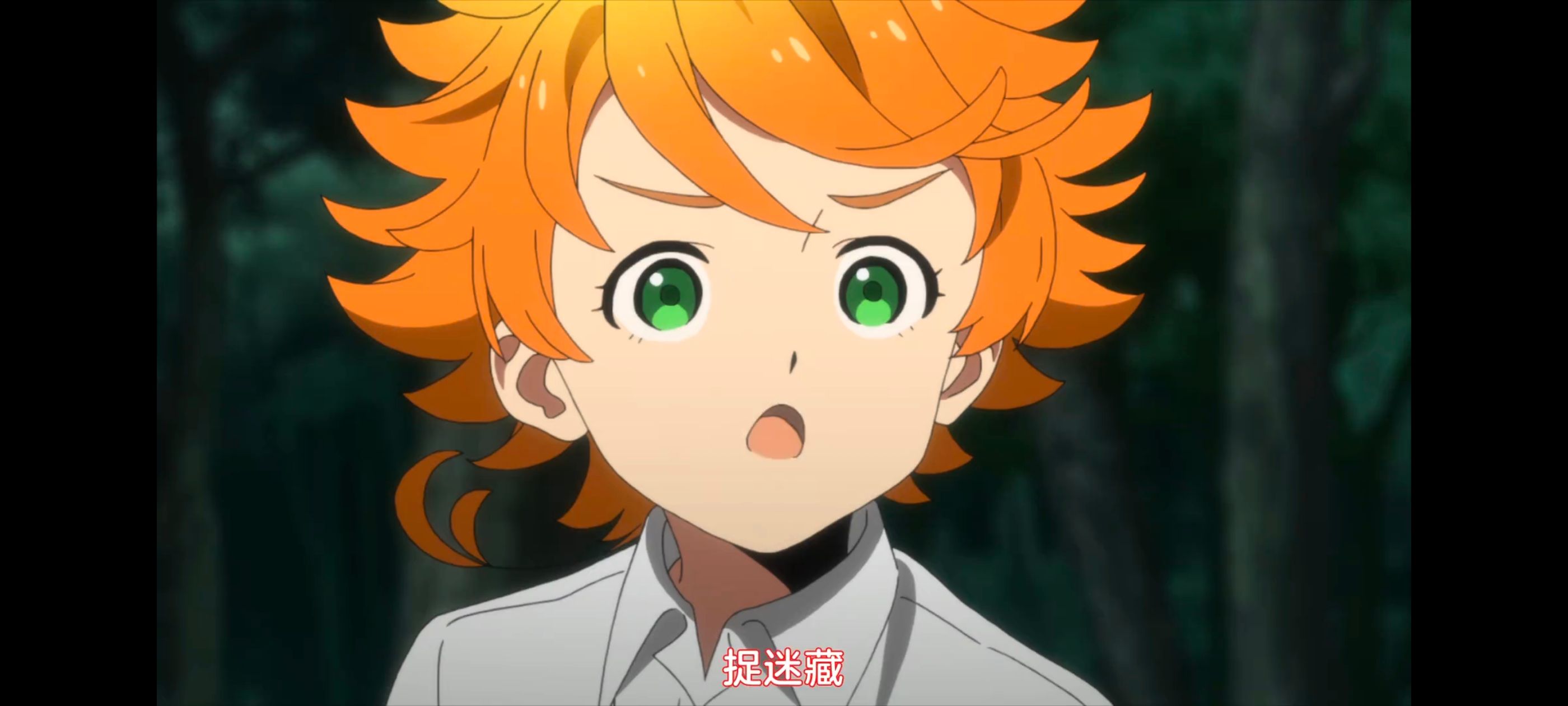 约定的梦幻岛,动画,动漫,番剧,ACG