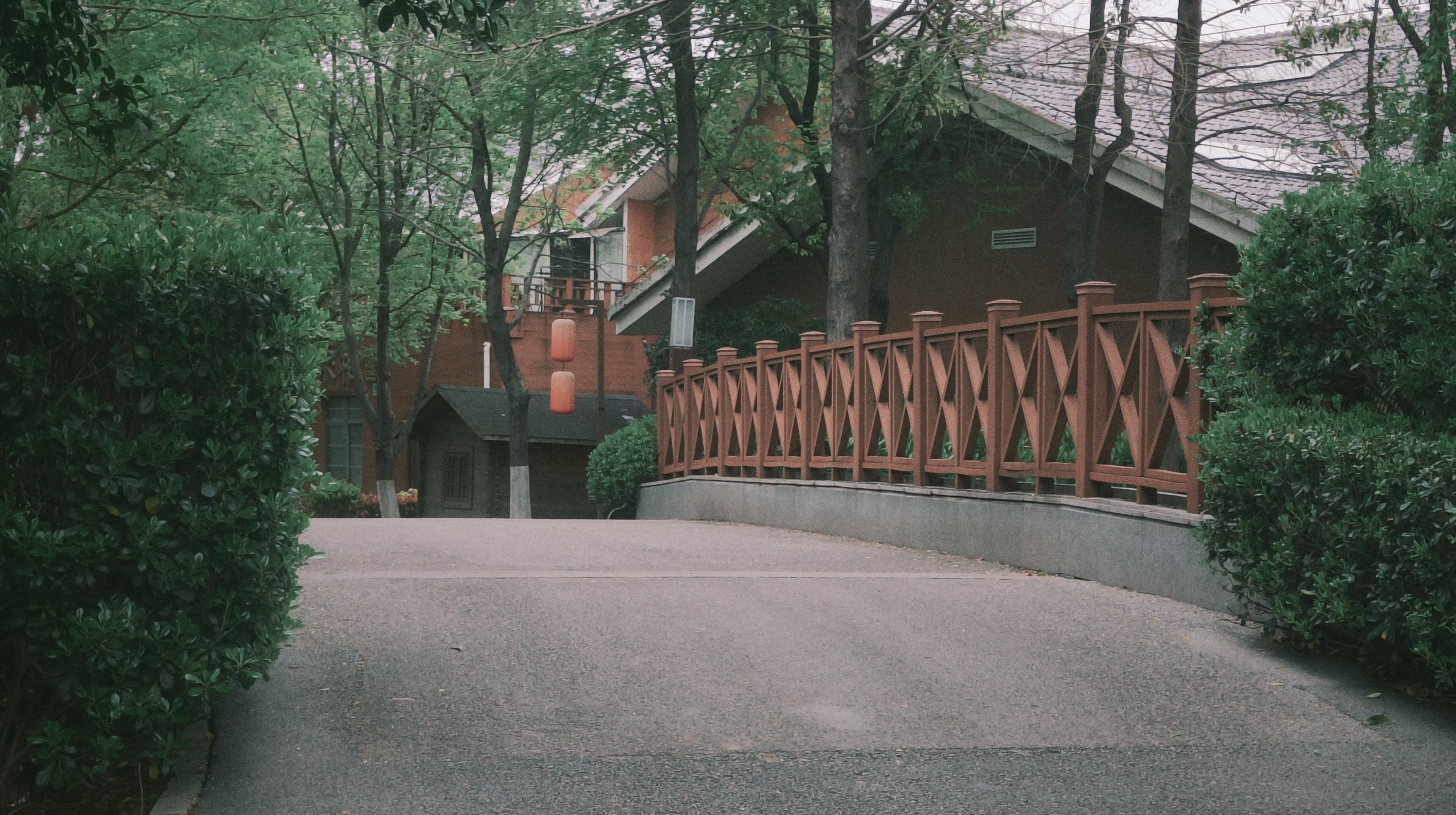 樱花,出游,日常,赏花