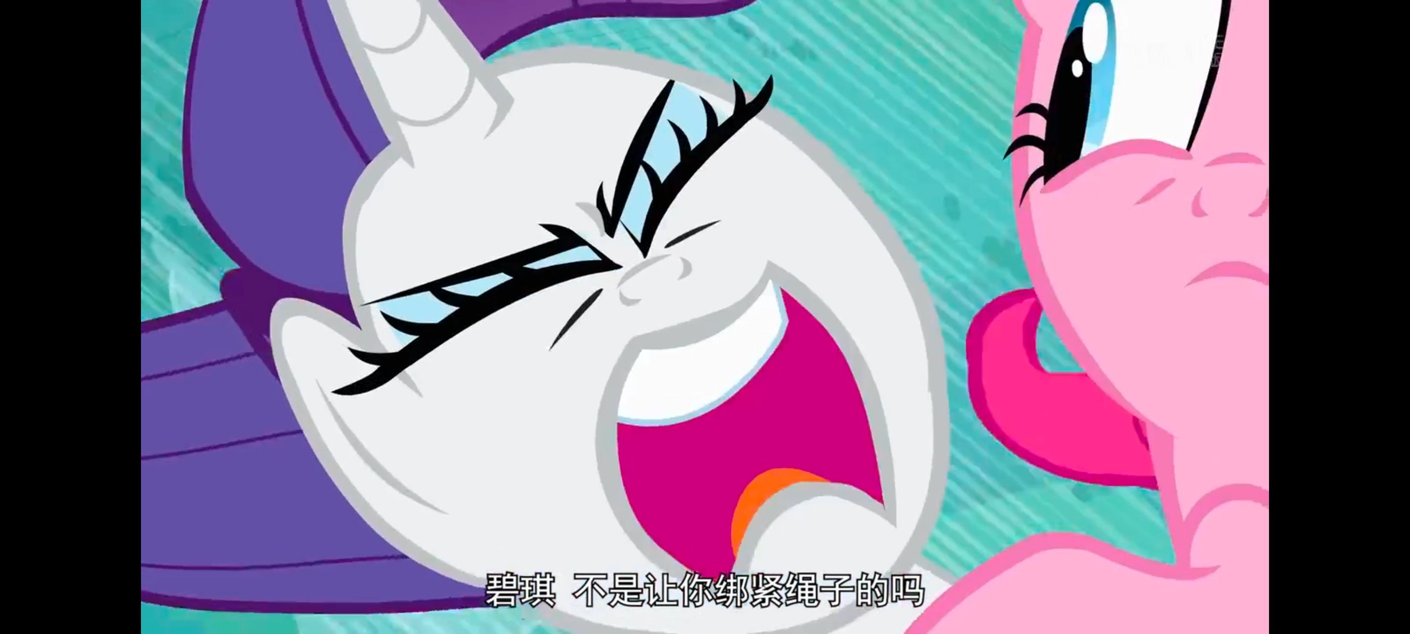 小马宝莉,彩虹小马,我的小马驹,小马宝莉友谊魔法,动漫,动画,番剧,ACG