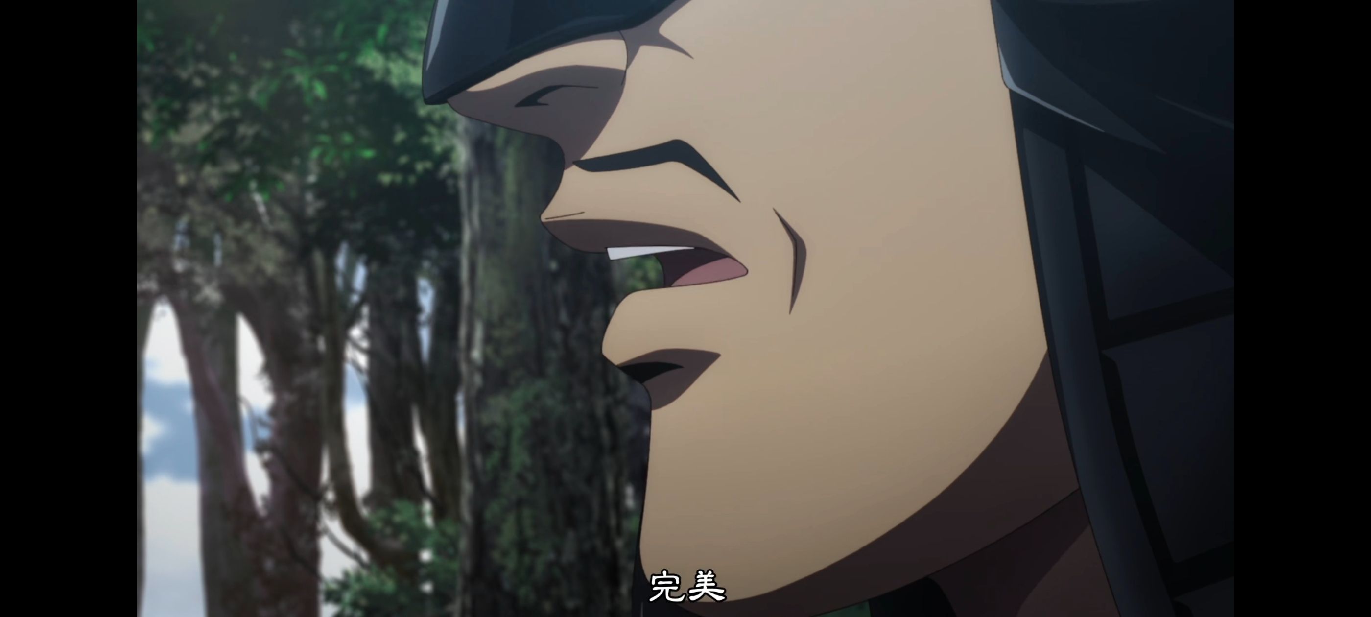 王者天下,动画,动漫,番剧,ACG