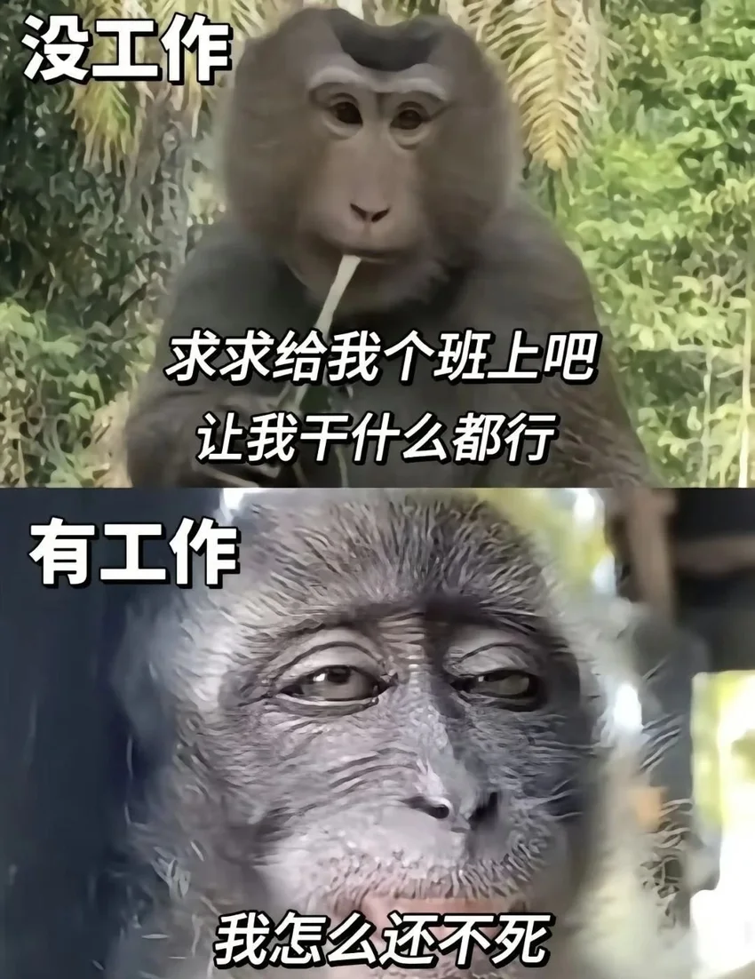 /static/9e4741111d0ad74173179633e11318bb6f48993b4a3c212cf79256119e846fdc.jpg
