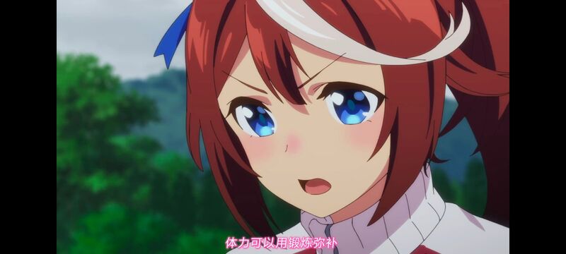 赛马娘,赛马娘PrettyDreby,赛马娘第二季,动画,动漫,番剧,ACG