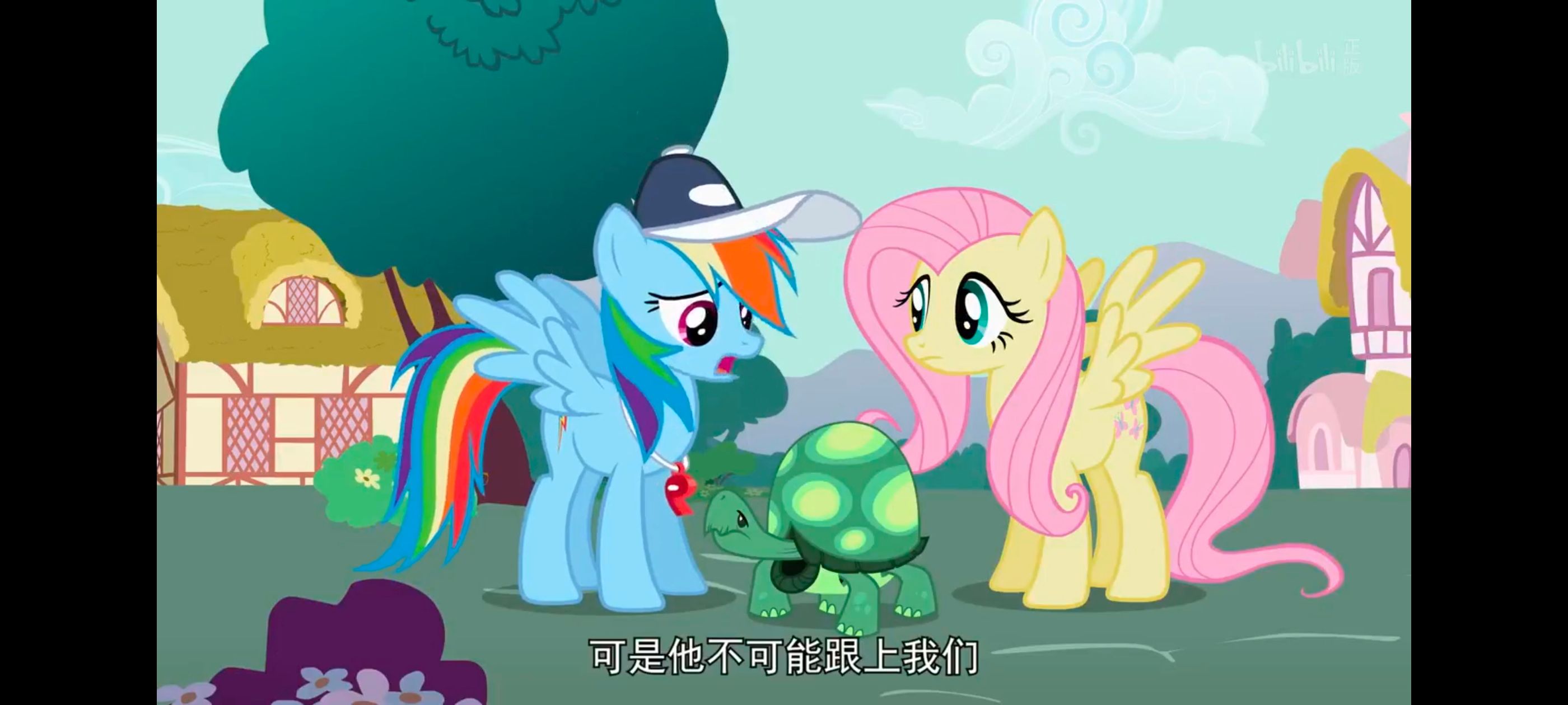 小马宝莉,彩虹小马,我的小马驹,动画,动漫,番剧,二次元,ACG