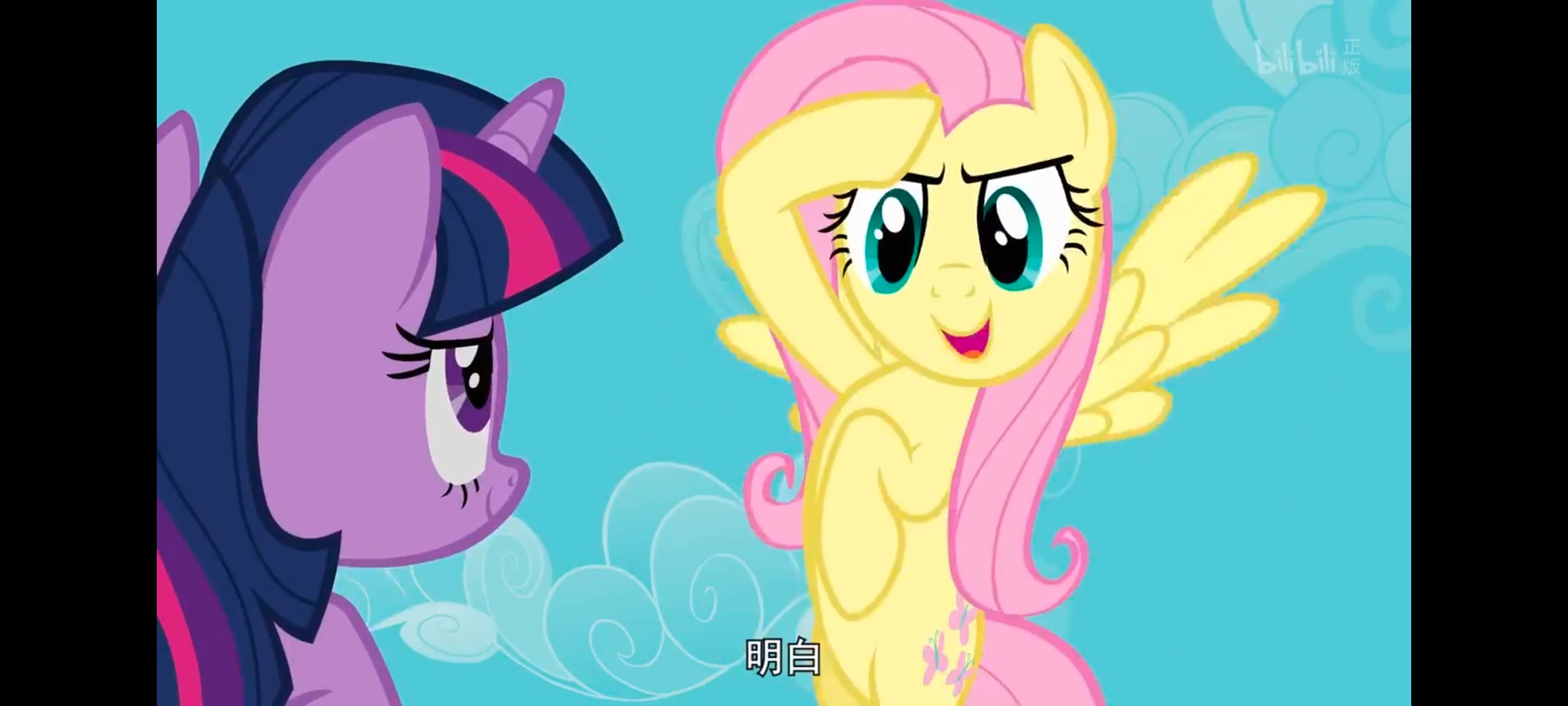 小马宝莉,彩虹小马,我的小马驹,小马宝莉友谊魔法,动漫,动画,番剧,ACG