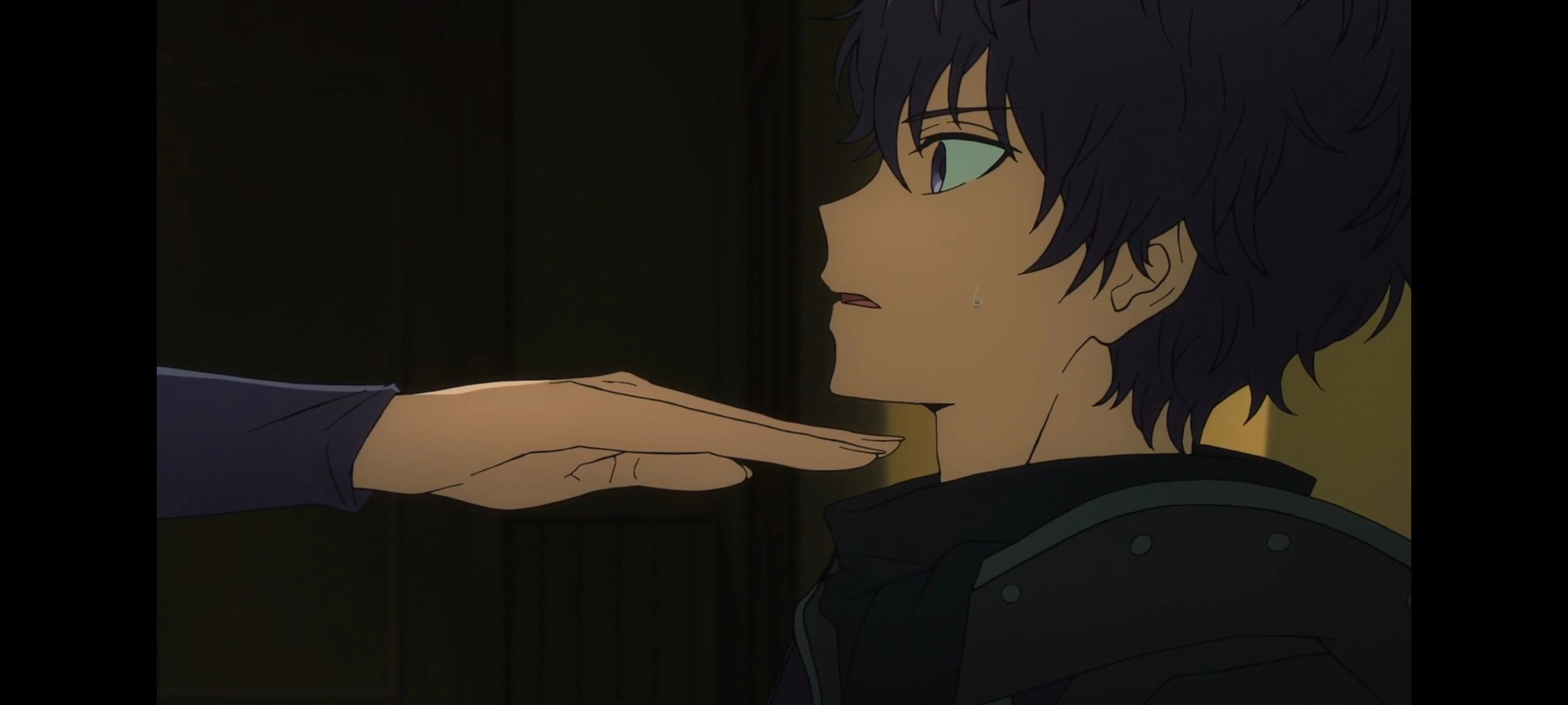 命运奇异赝品,FatestrangeFake,FATE,动画,动漫,番剧,二次元,ACG