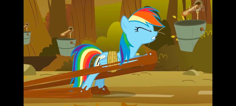 小马宝莉,小马宝莉友谊魔法,彩虹小马,我的小马驹,动画,动漫,番剧,ACG