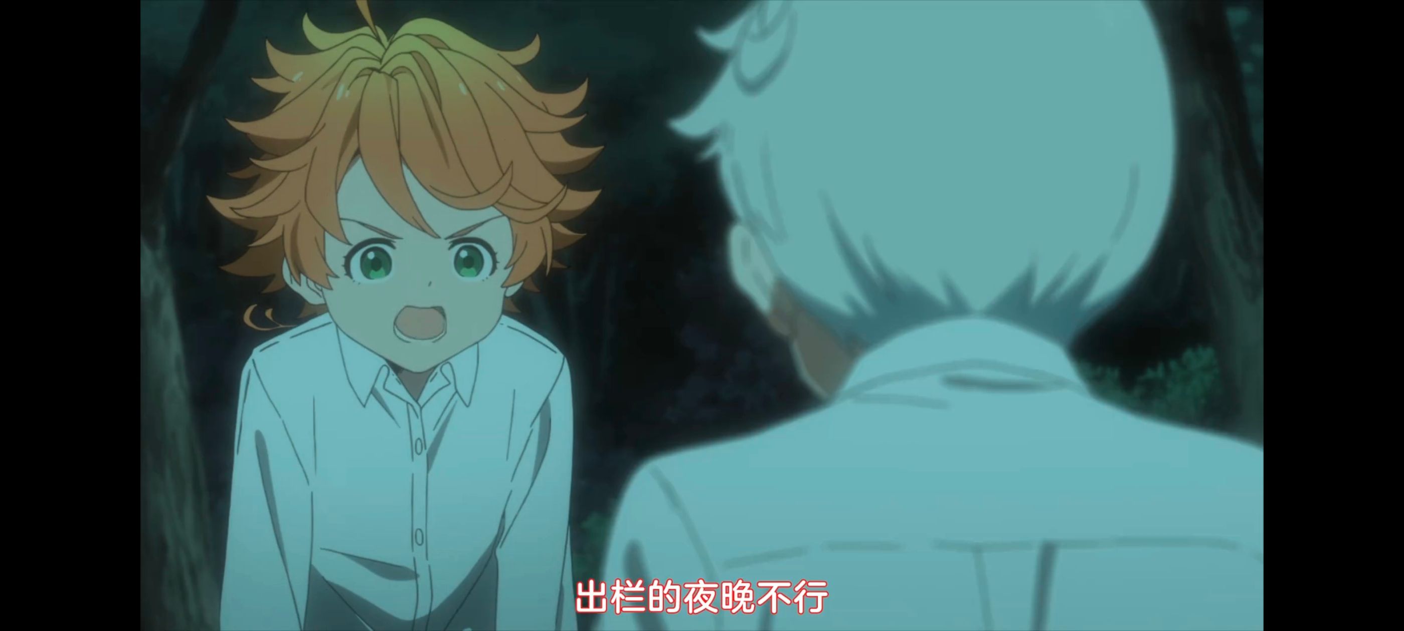 约定的梦幻岛,动画,动漫,番剧,ACG