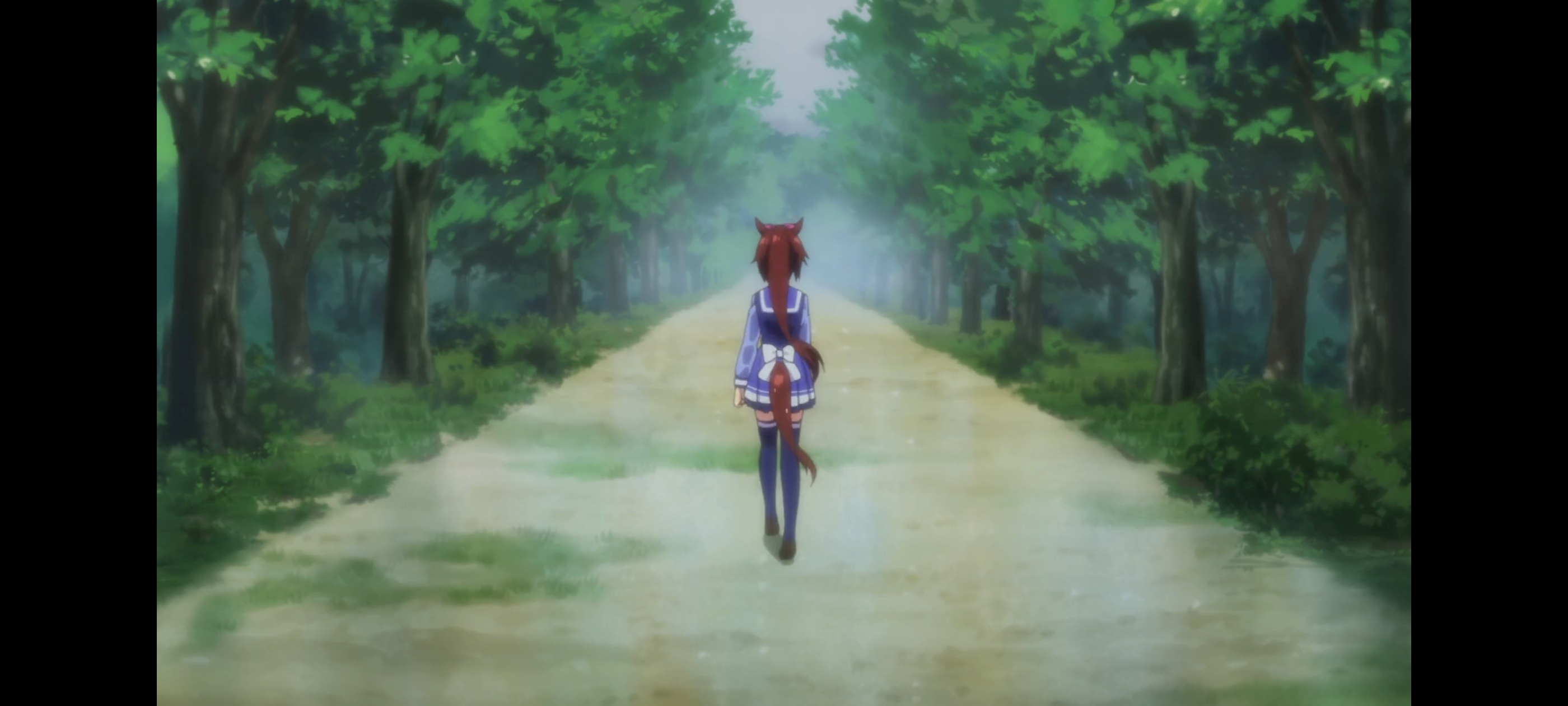 赛马娘,赛马娘第二季,赛马娘PrettyDerby,动画,动漫,番剧,二次元,ACG