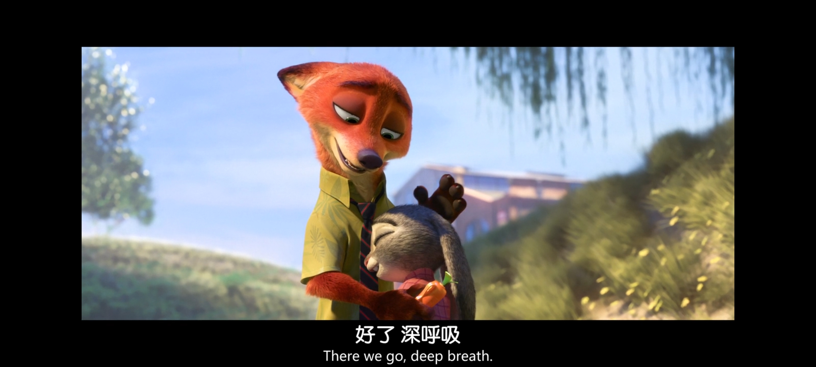 疯狂动物城,动画电影,动漫,动画,电影,二次元,ACG