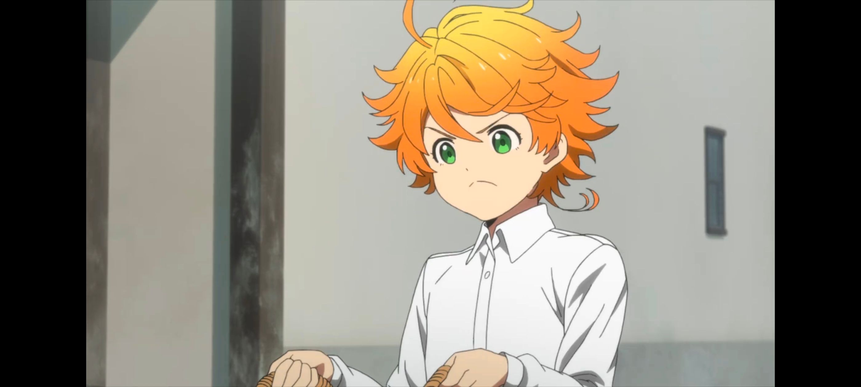 约定的梦幻岛,动画,动漫,番剧,ACG