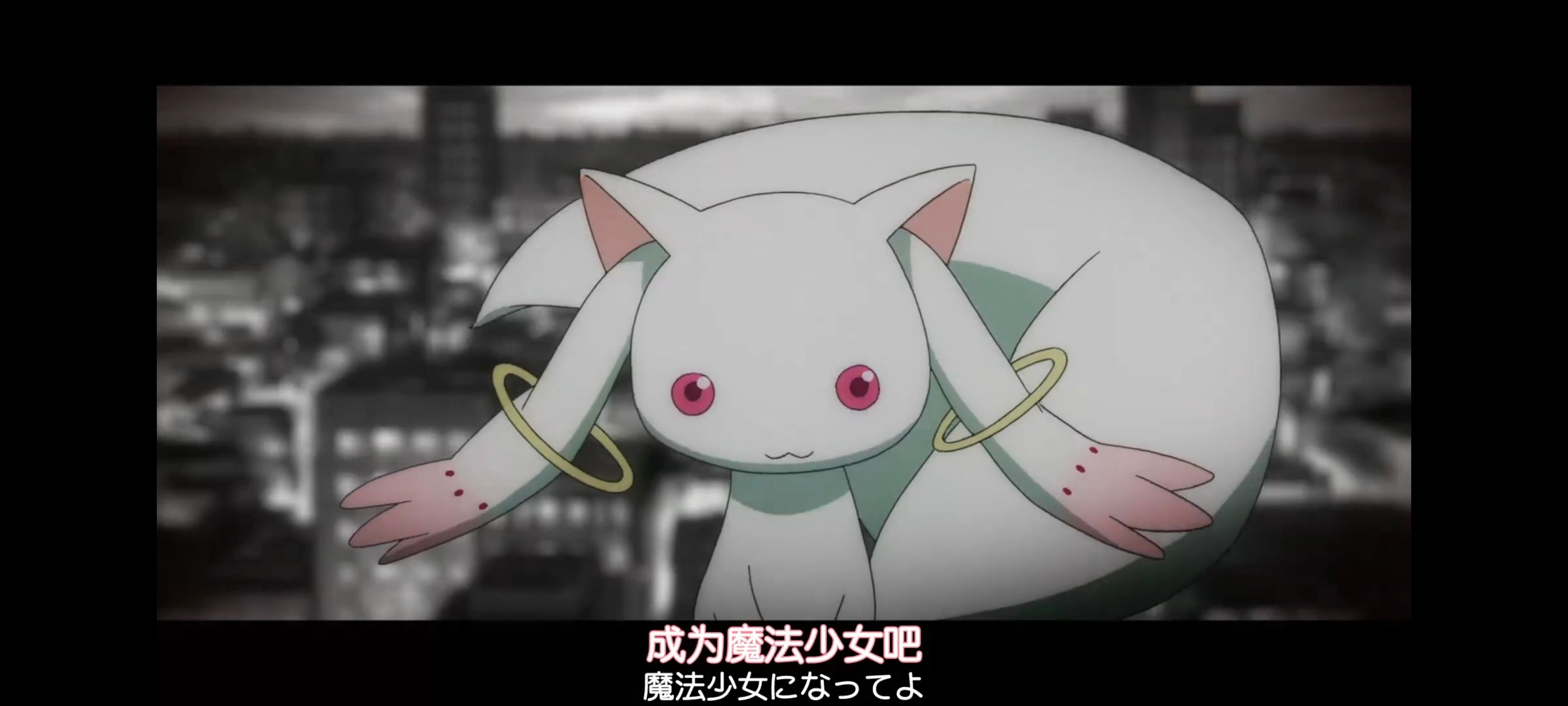 魔法少女小圆,魔法少女,动漫,动画,番剧,ACG