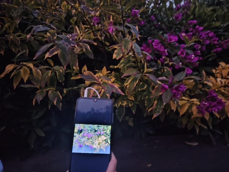 登山,记叙文,轻音少女