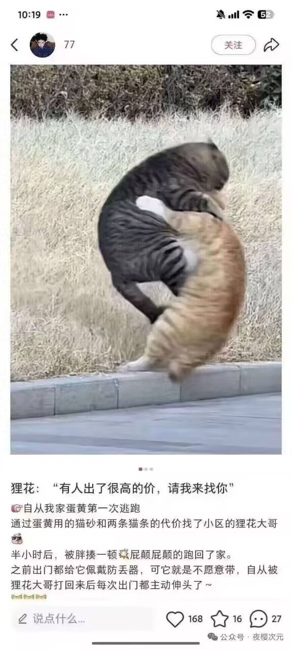 弔图,meme,迷因