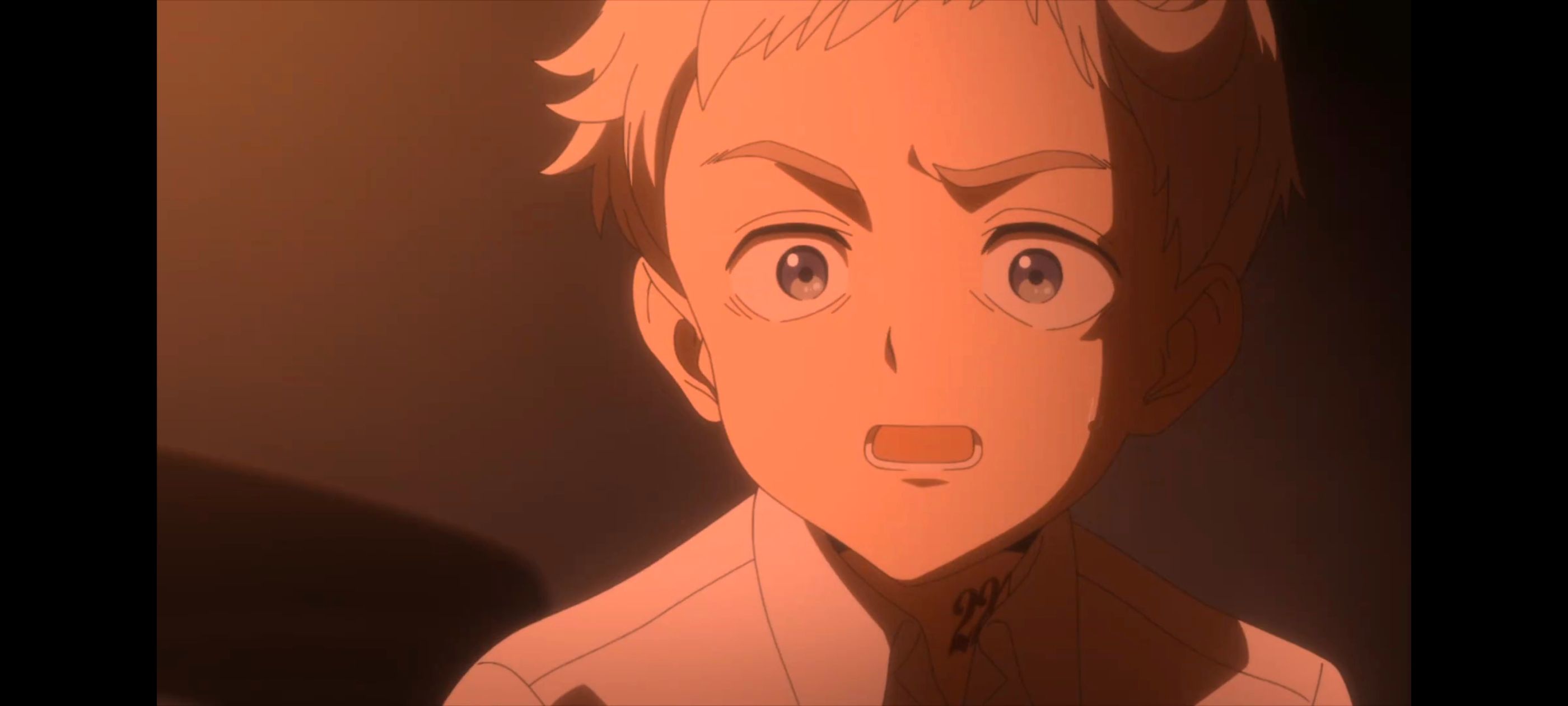 约定的梦幻岛,动画,动漫,番剧,ACG