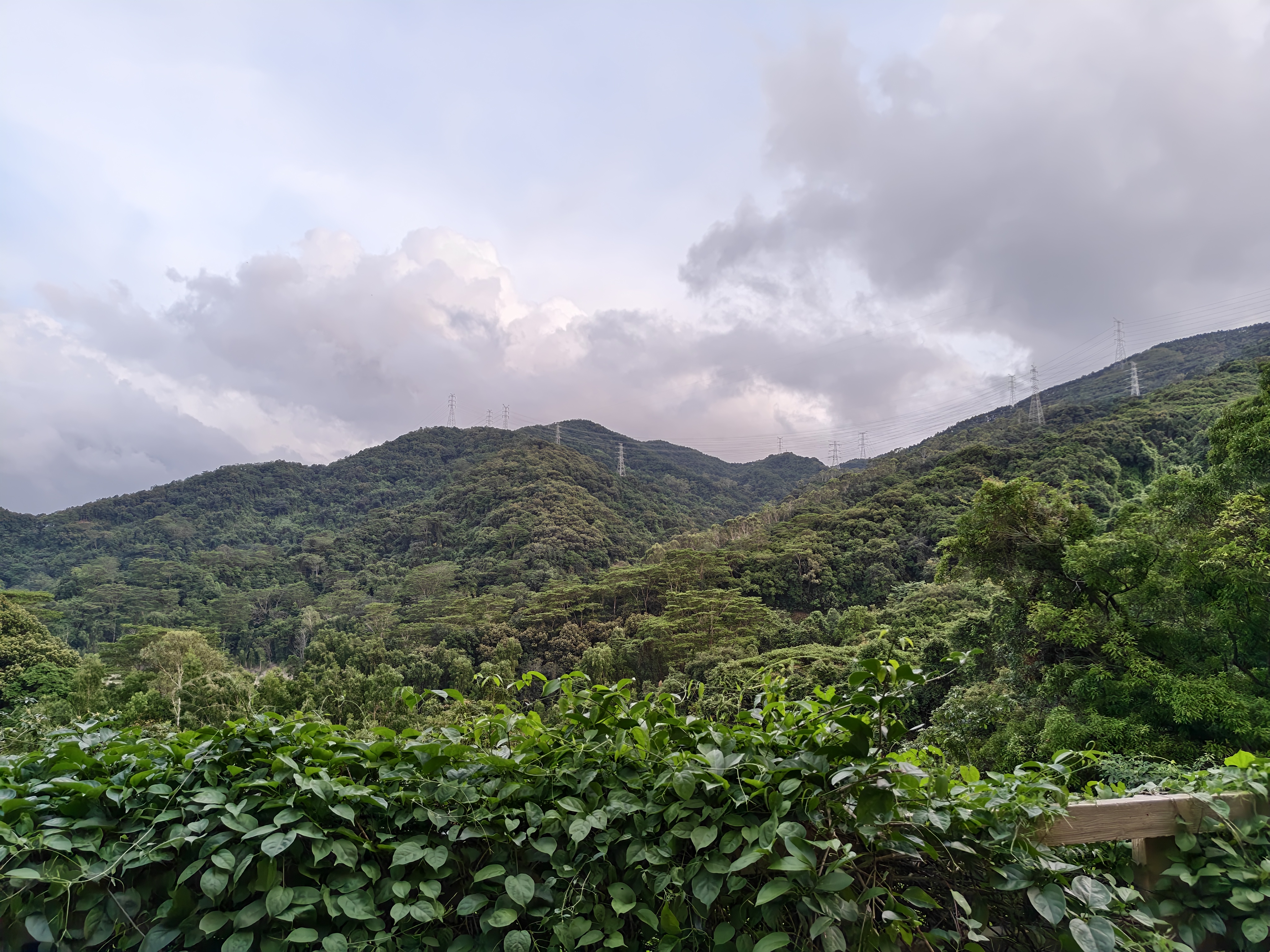 登山,阳台山,羊台叠翠