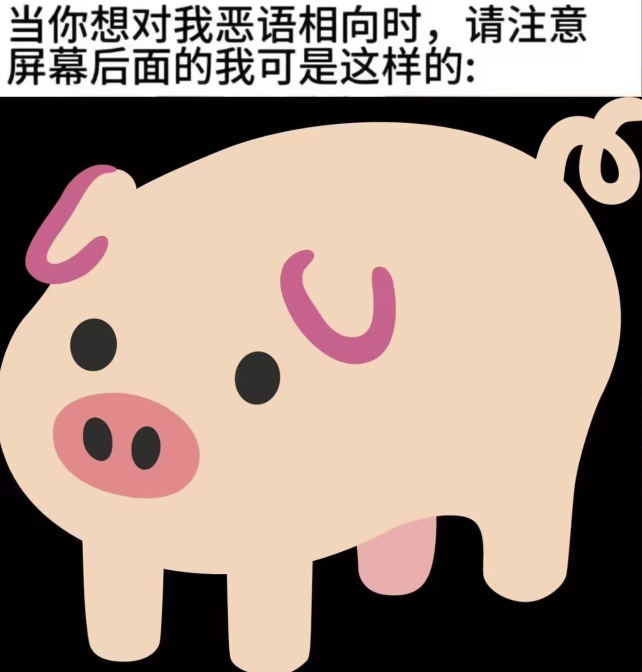 猪,猪猪,表情包