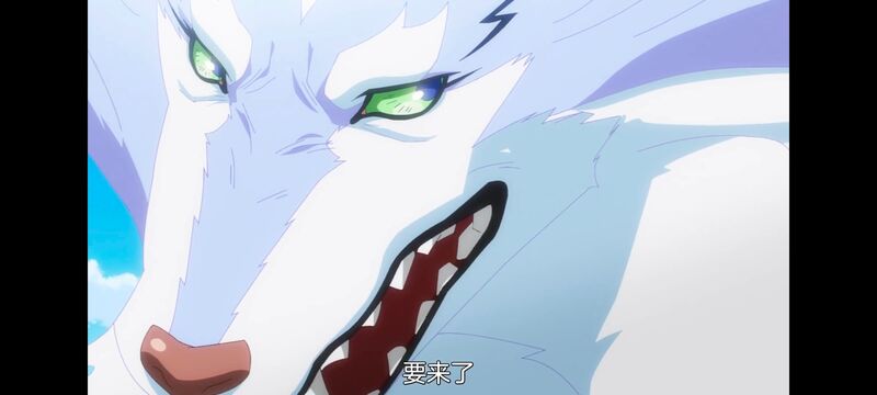 网购技能开启异世界美食之旅,拥有超常技能的异世界流浪美食家,动画,动漫,番剧,ACG