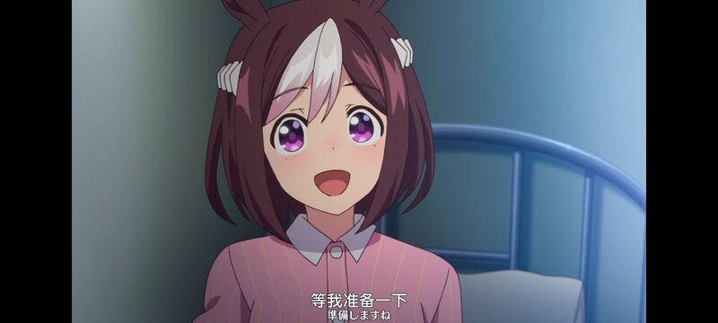 赛马娘,赛马娘PrettyDreby,动画,动漫,番剧,ACG