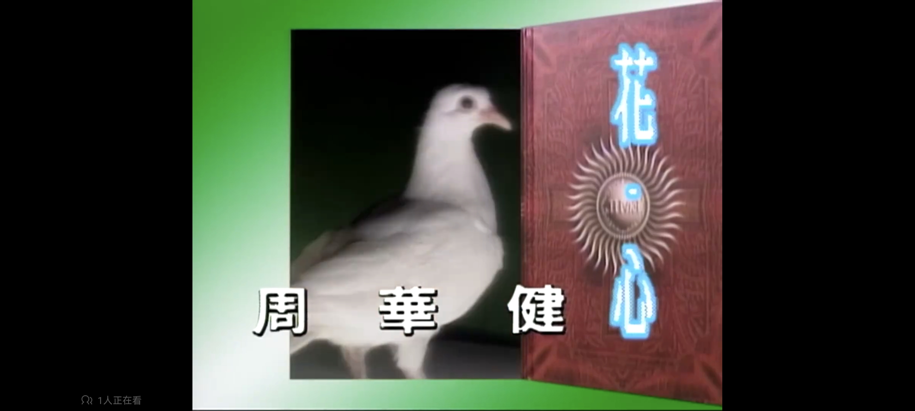 音乐,歌曲,歌手,最喜欢
