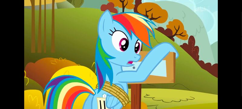 小马宝莉,小马宝莉友谊魔法,彩虹小马,我的小马驹,动画,动漫,番剧,ACG