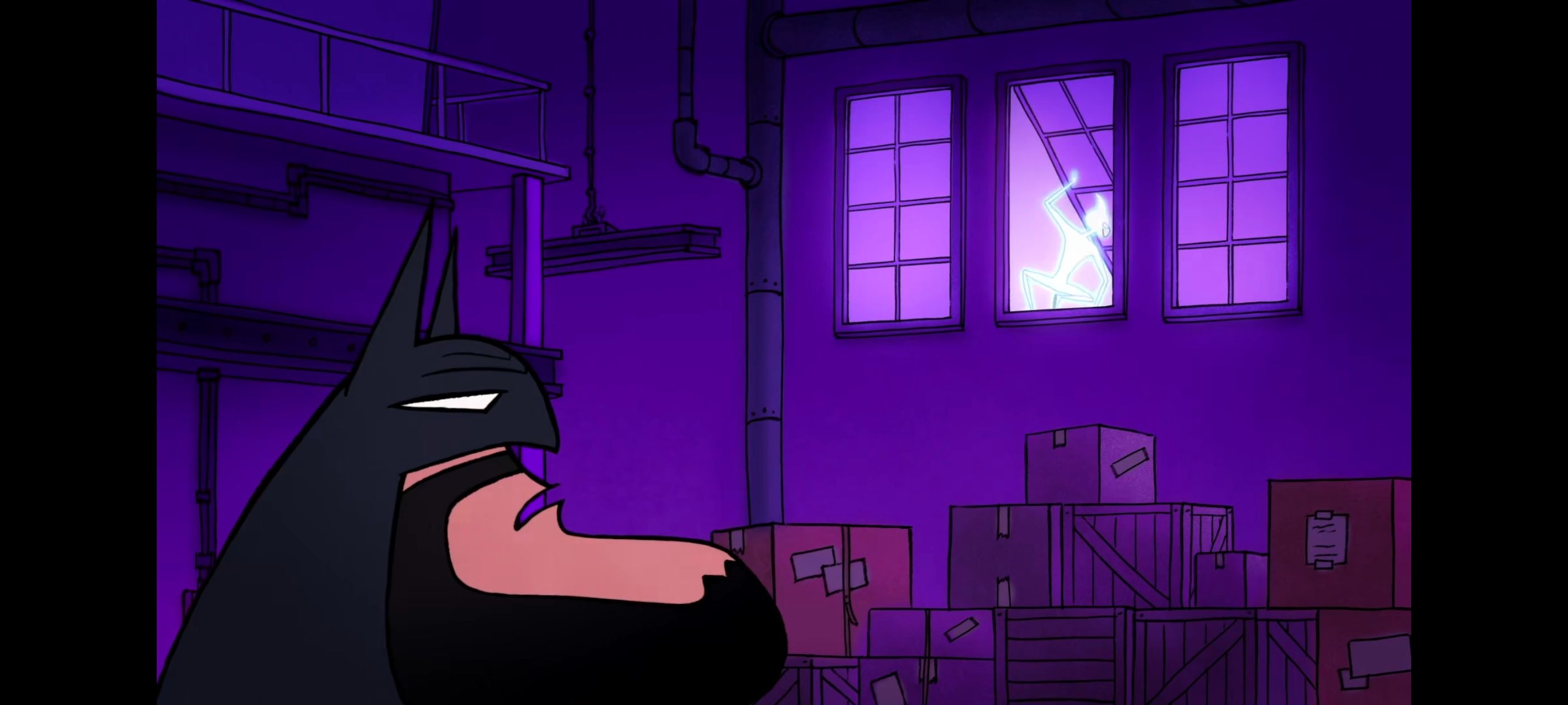 蝙蝠侠家族,蝙蝠侠一家,DC,动漫,动画,番剧,ACG