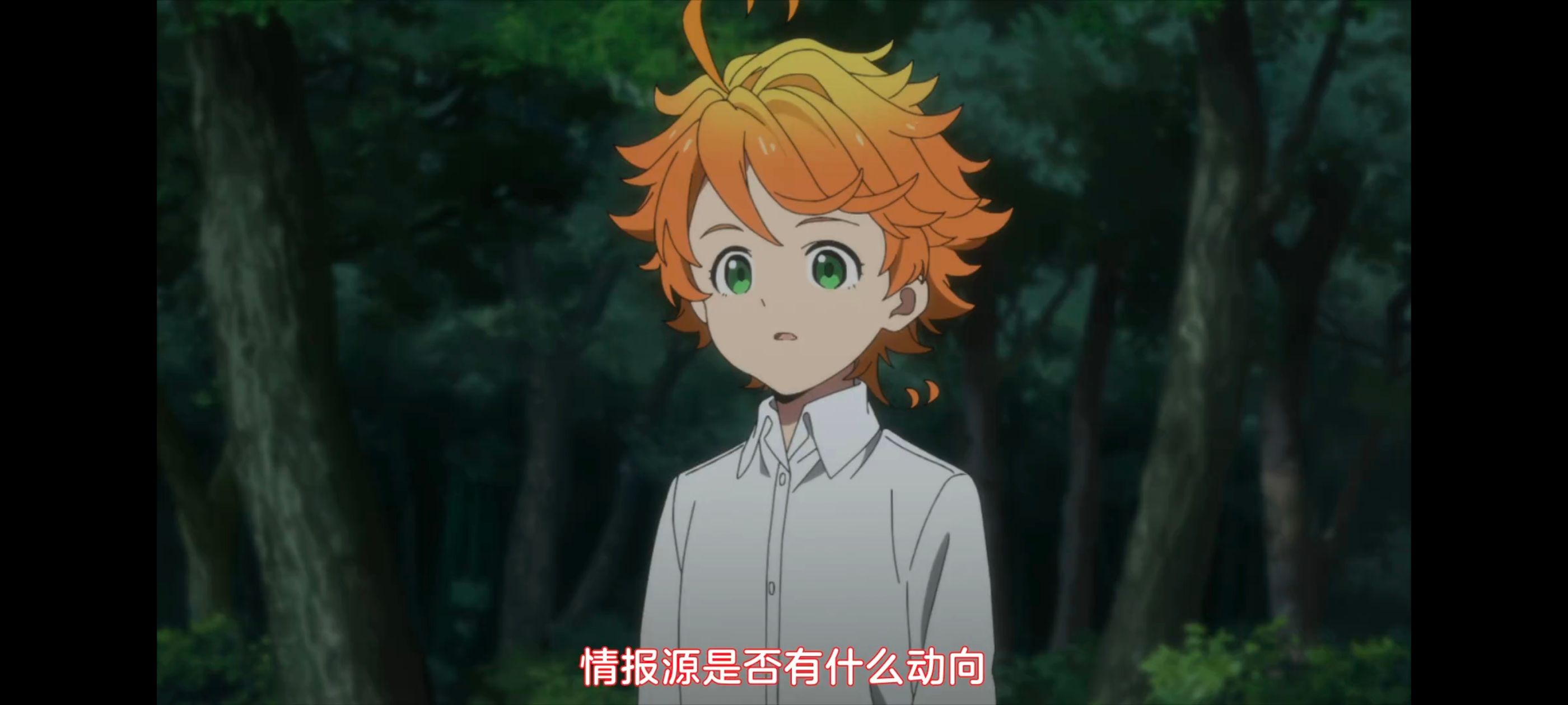 约定的梦幻岛,动画,动漫,番剧,ACG