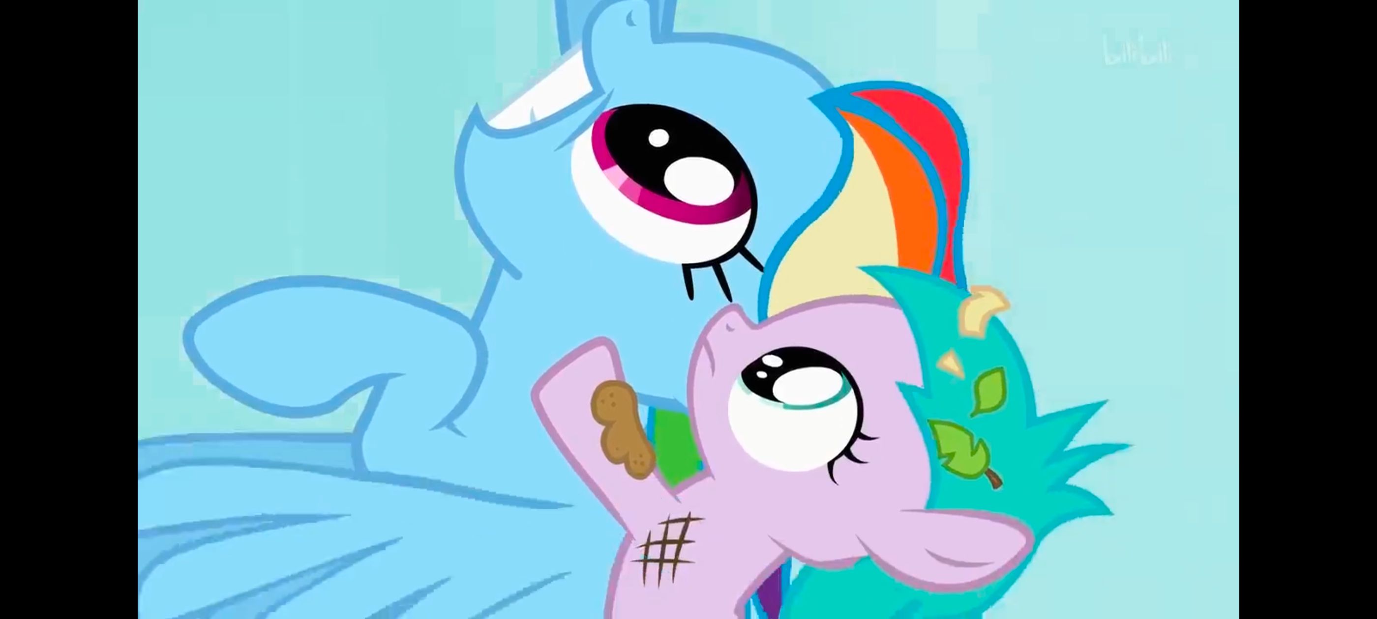 小马宝莉,彩虹小马,我的小马驹,动画,动漫,番剧,ACG