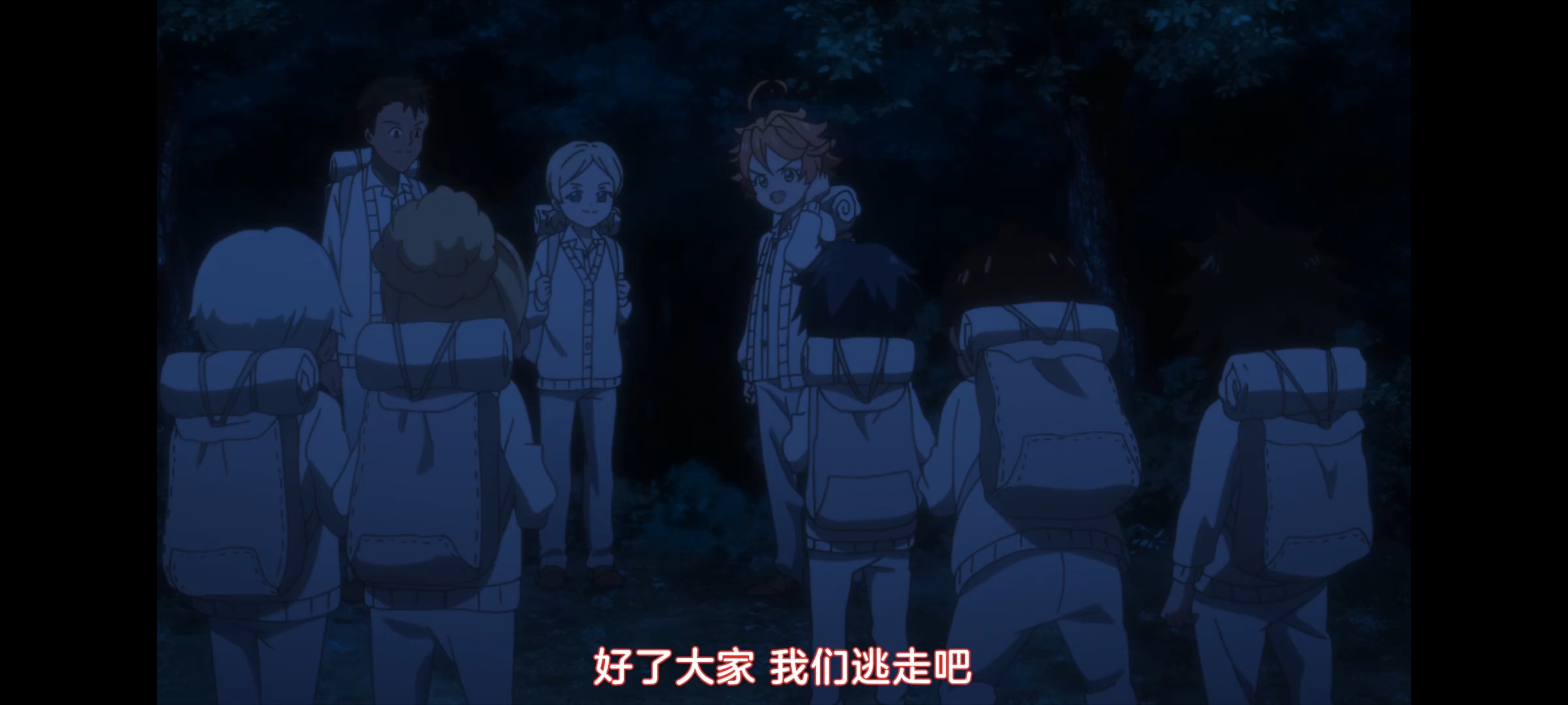 约定的梦幻岛,动画,动漫,番剧,二次元,ACG