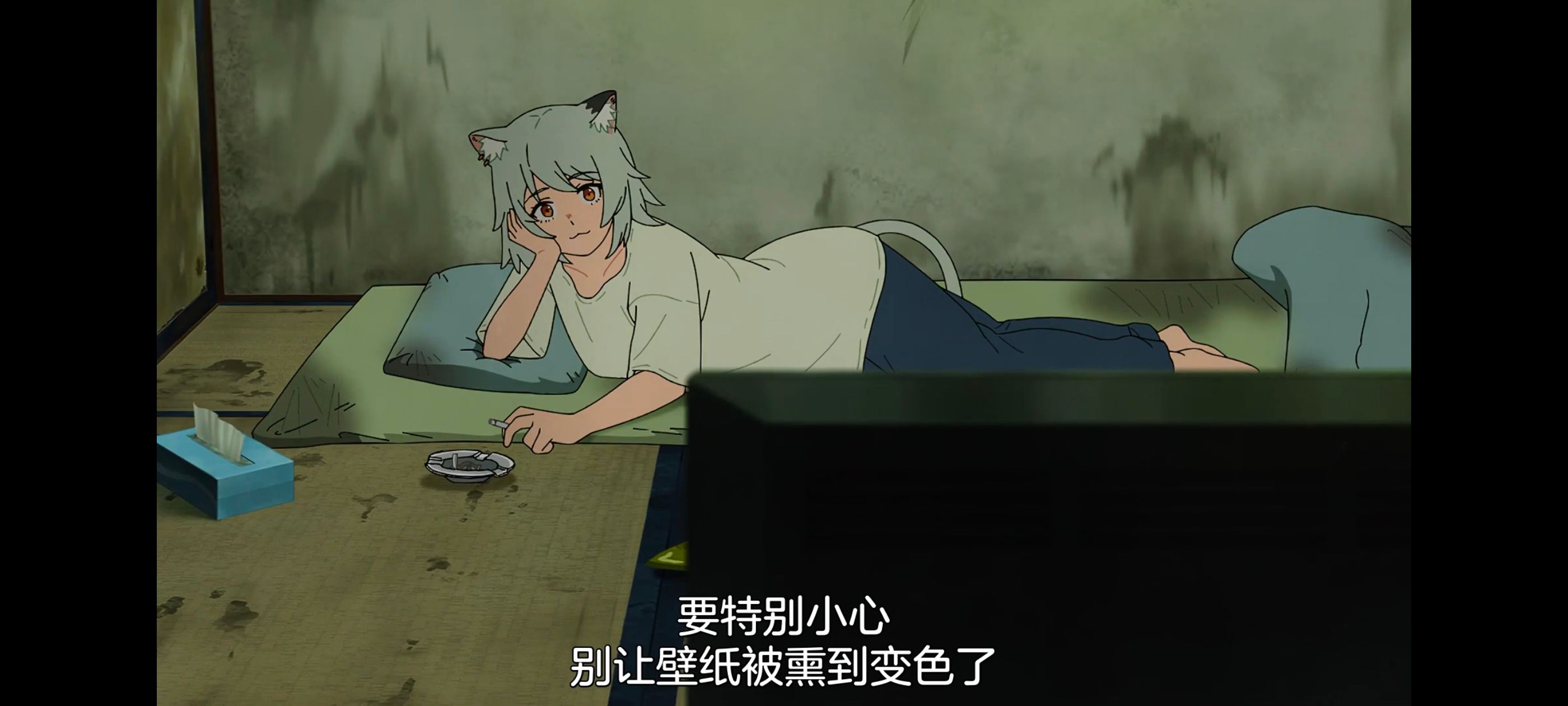 雅尼猫,尼古喵喵,动画,动漫,番剧,日漫,二次元,ACG