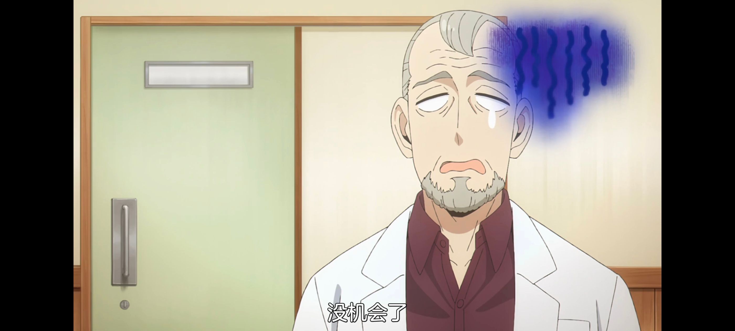 间谍过家家,SPYFAMILY,动画,动漫,番剧,ACG