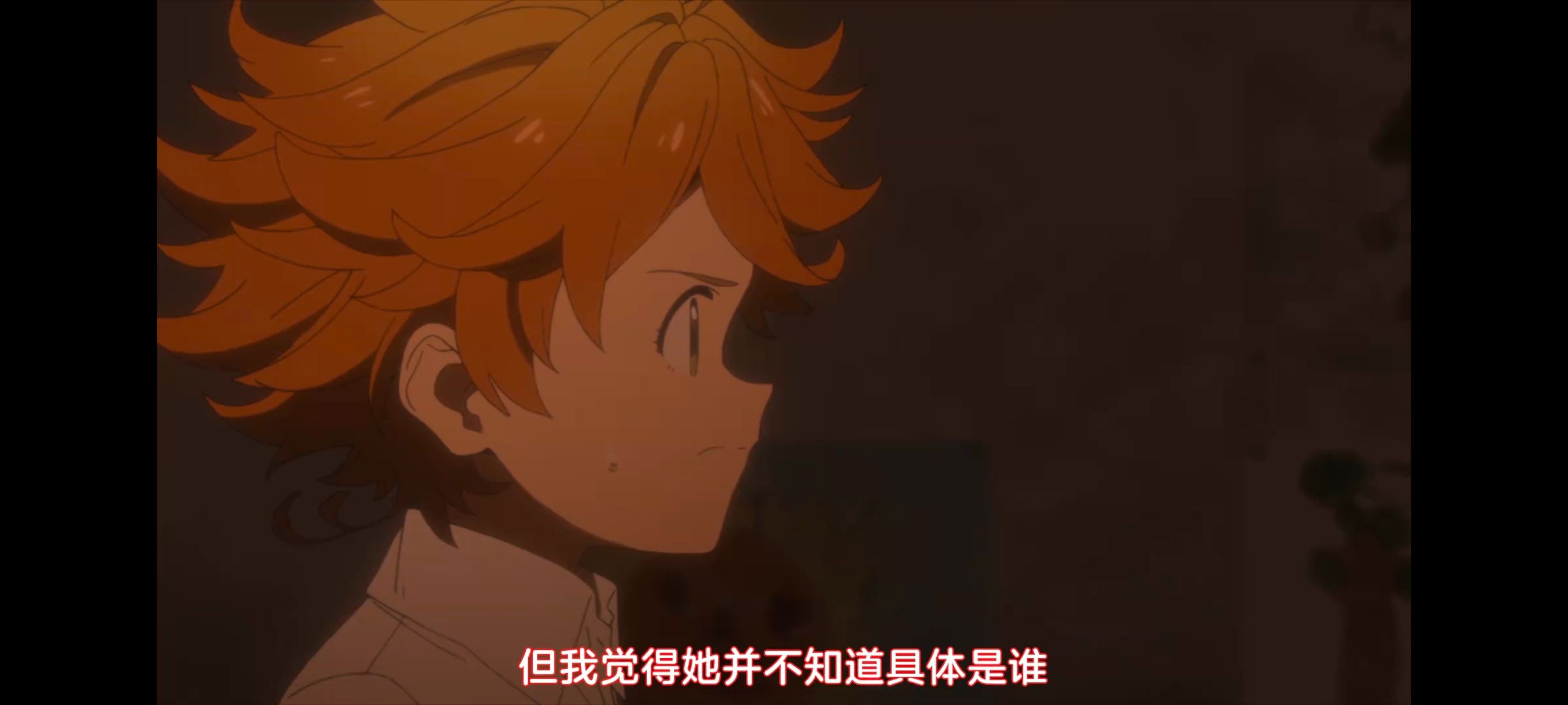 约定的梦幻岛,动画,动漫,番剧,ACG