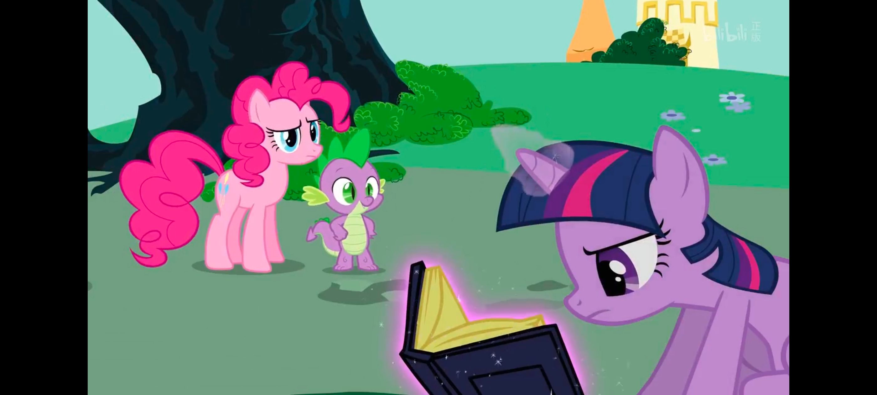 小马宝莉,小马宝莉友谊魔法,彩虹小马,我的小马驹,动画,动漫,番剧,ACG