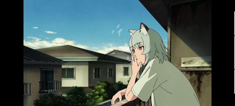 雅尼猫,尼古喵喵,动画,动漫,番剧,二次元,日漫,ACG