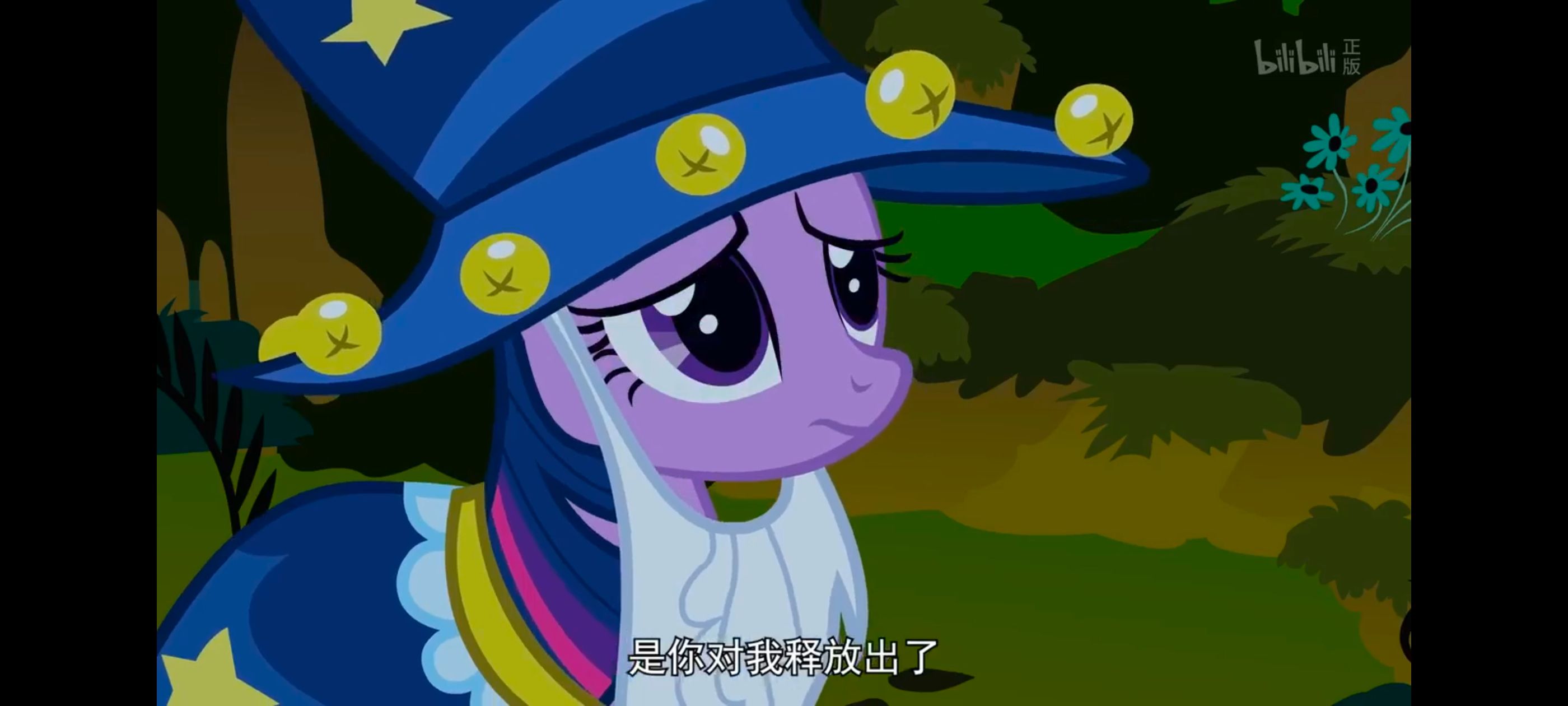 小马宝莉,小马宝莉友谊魔法,彩虹小马,我的小马驹,动漫,动画,番剧,ACG