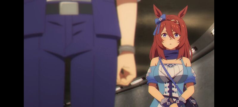 赛马娘,赛马娘PrettyDreby,芦毛灰姑娘,赛马娘芦毛灰姑娘,动画,动漫,番剧,ACG