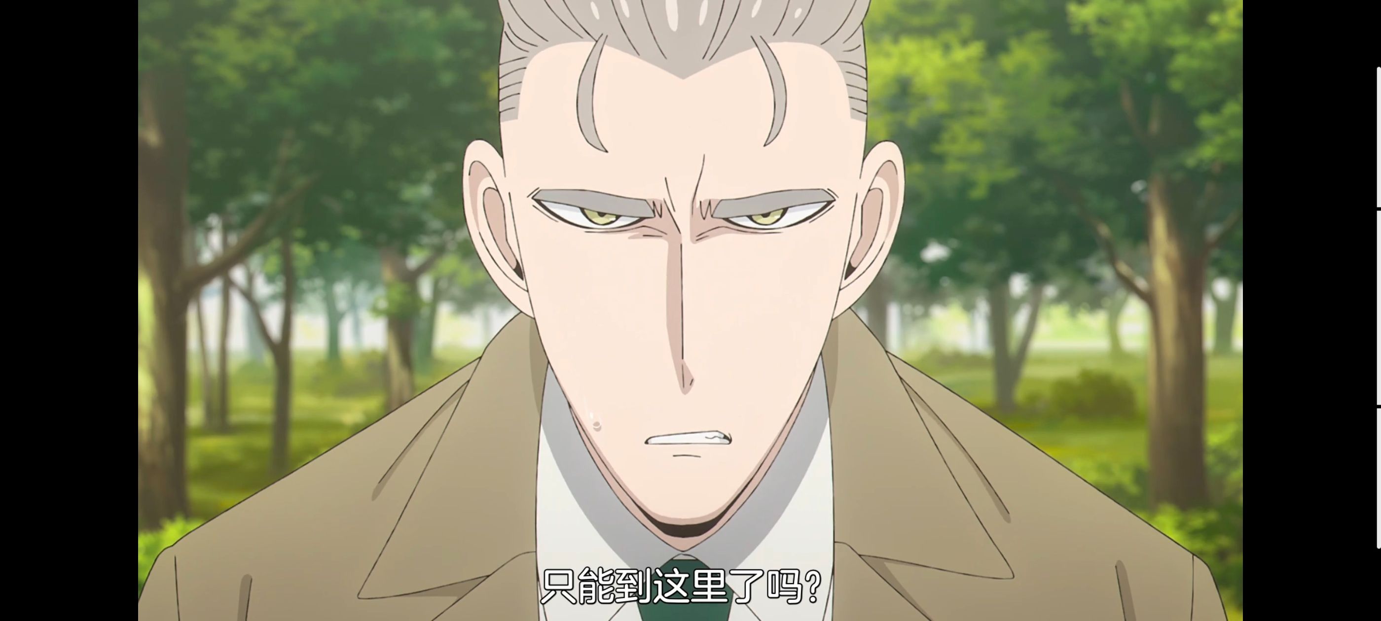 间谍过家家,SPYFAMILY,动画,动漫,番剧,ACG