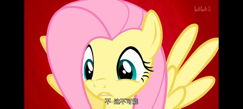 小马宝莉,小马宝莉友谊魔法,彩虹小马,我的小马驹,动画,动漫,番剧,ACG