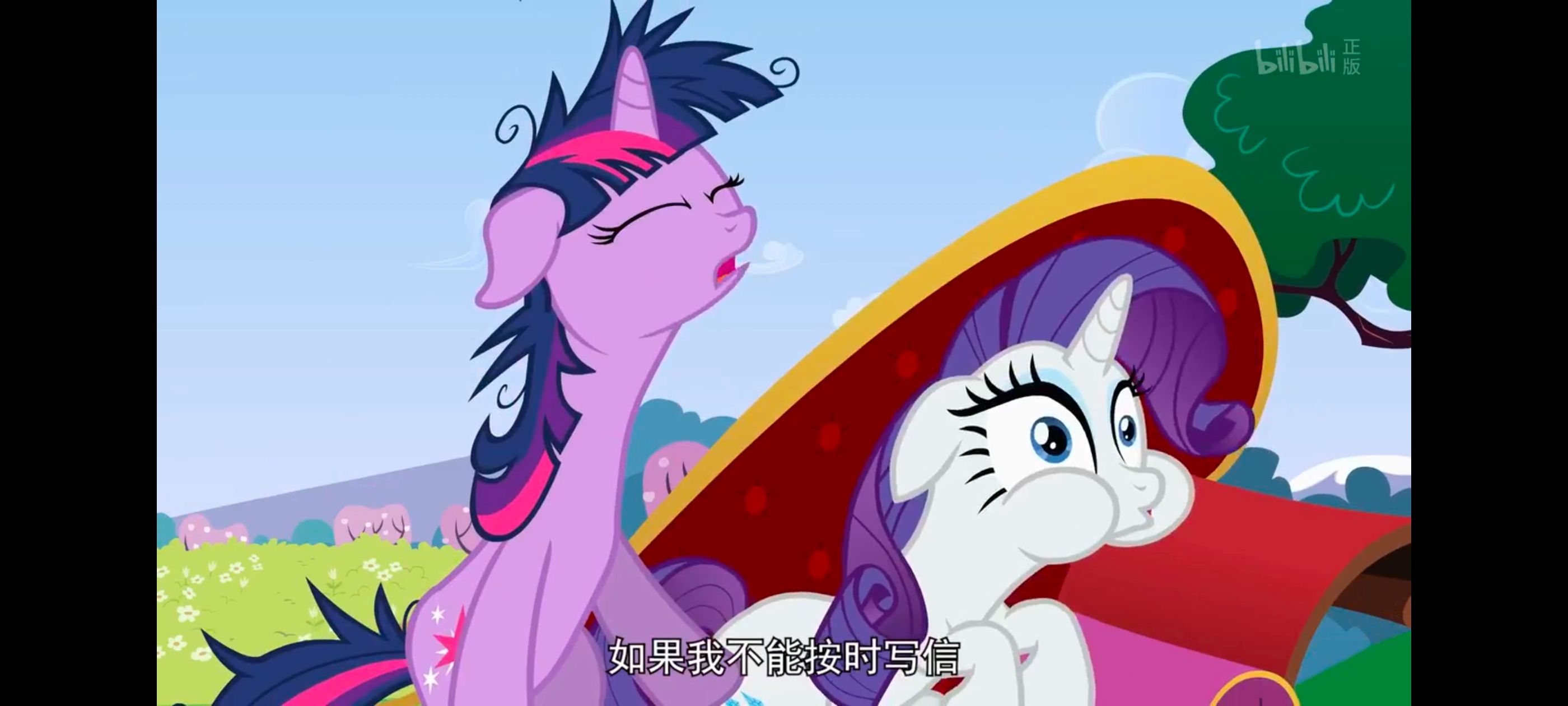 小马宝莉,小马宝莉友谊魔法,彩虹小马,我的小马驹,动画,动漫,番剧,ACG