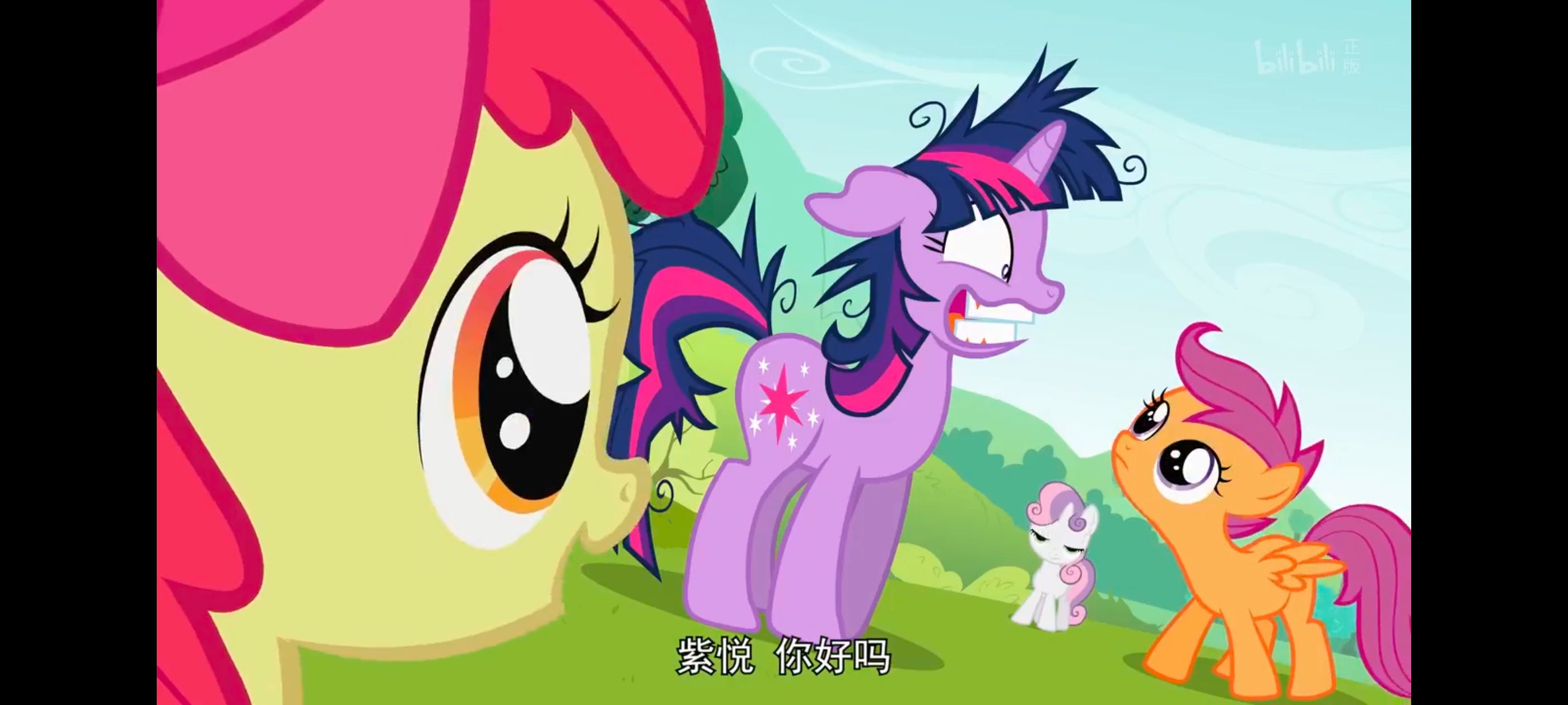 小马宝莉,小马宝莉友谊魔法,彩虹小马,我的小马驹,动画,动漫,番剧,ACG