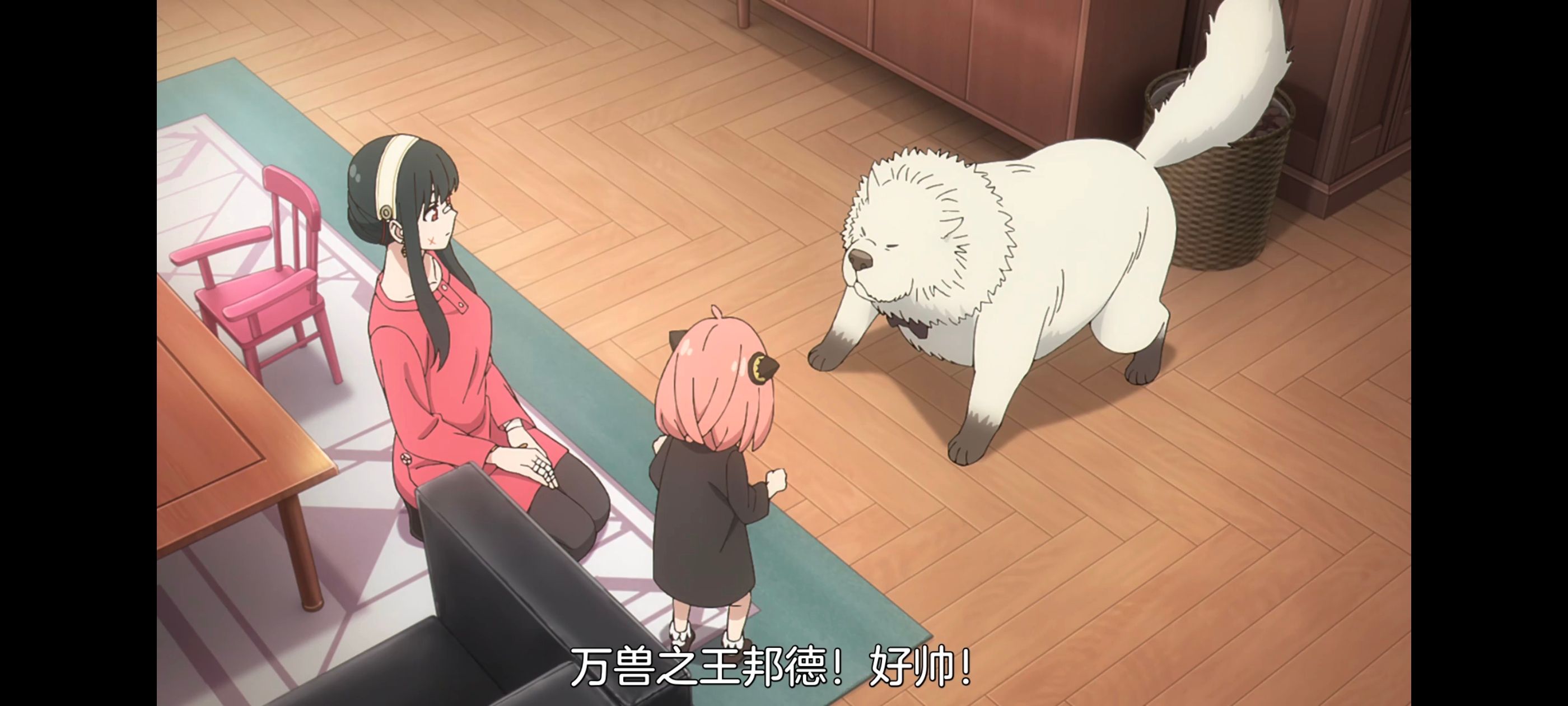 间谍过家家,SPYFAMILY,动画,动漫,番剧,ACG