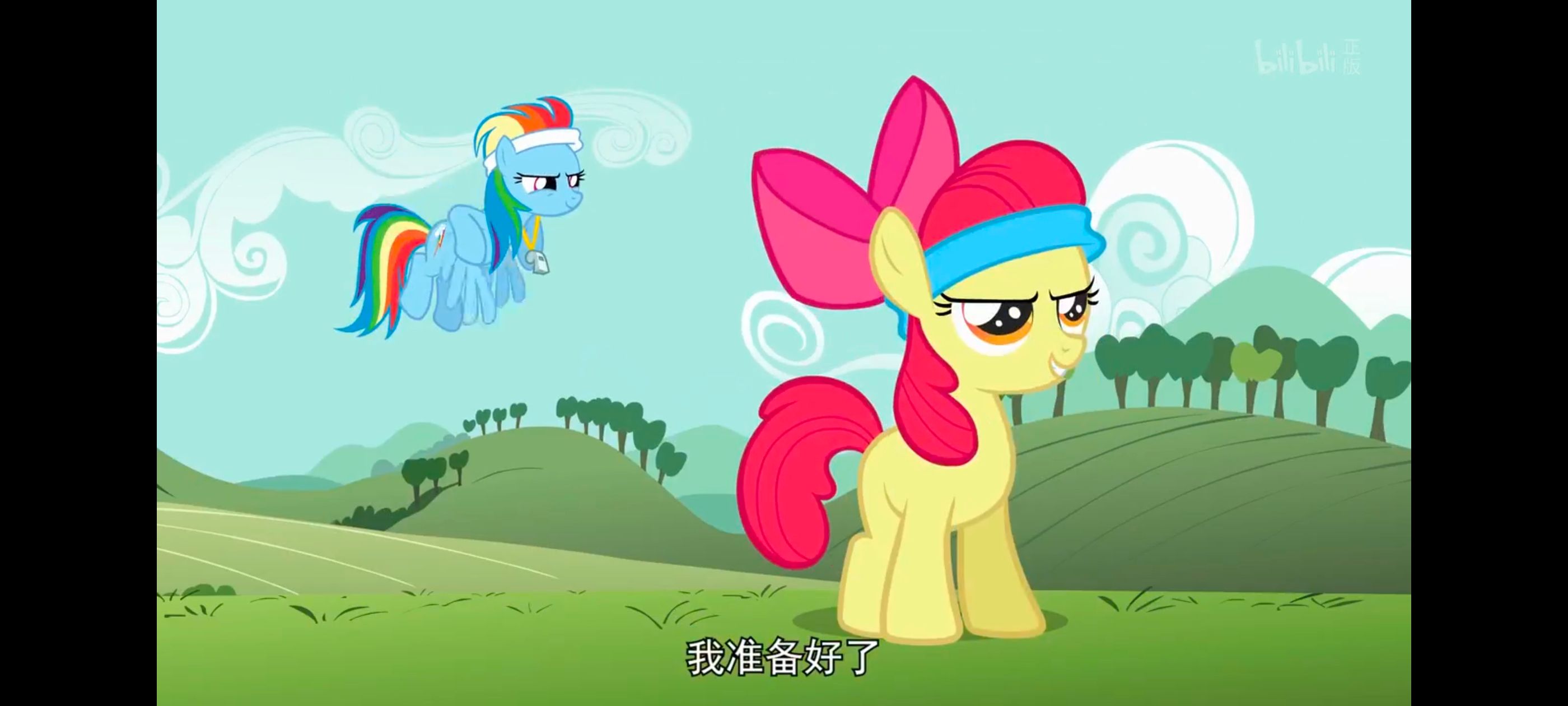 小马宝莉,小马宝莉友谊魔法,彩虹小马,我的小马驹,动画,动漫,番剧,ACG