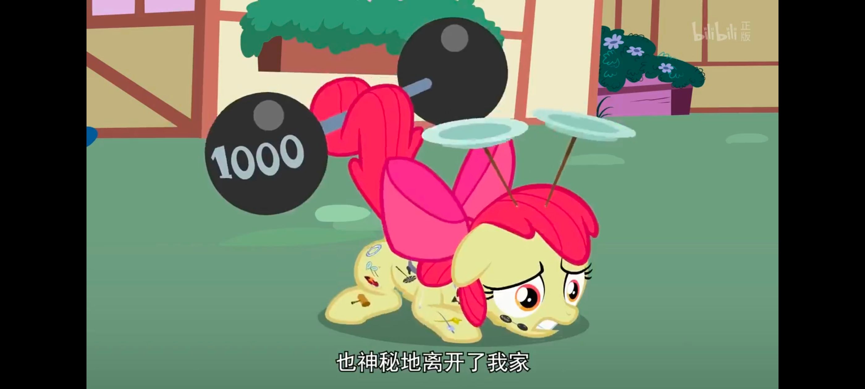 小马宝莉,彩虹小马,我的小马驹,动漫,动画,番剧,ACG