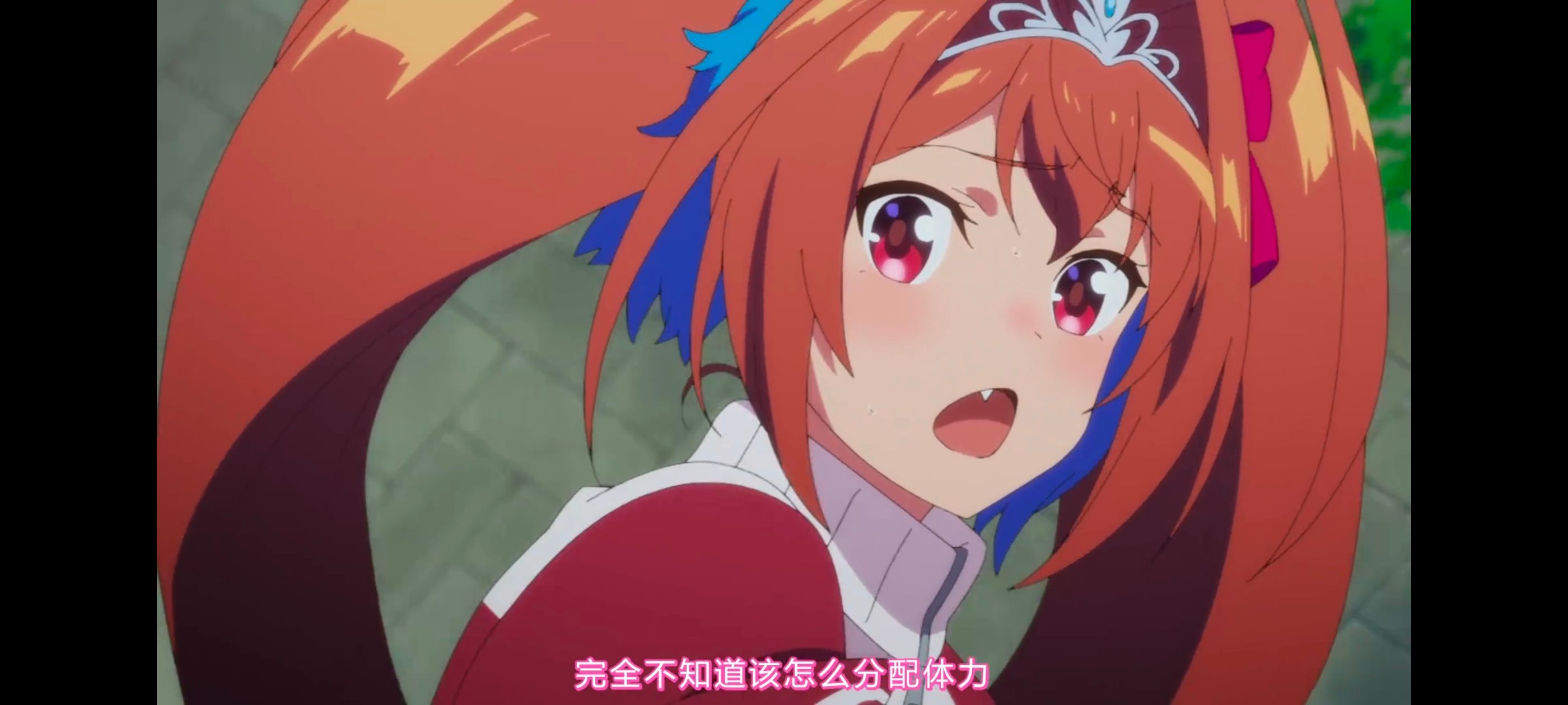 赛马娘,赛马娘PrettyDreby,赛马娘第二季,动画,动漫,番剧,ACG