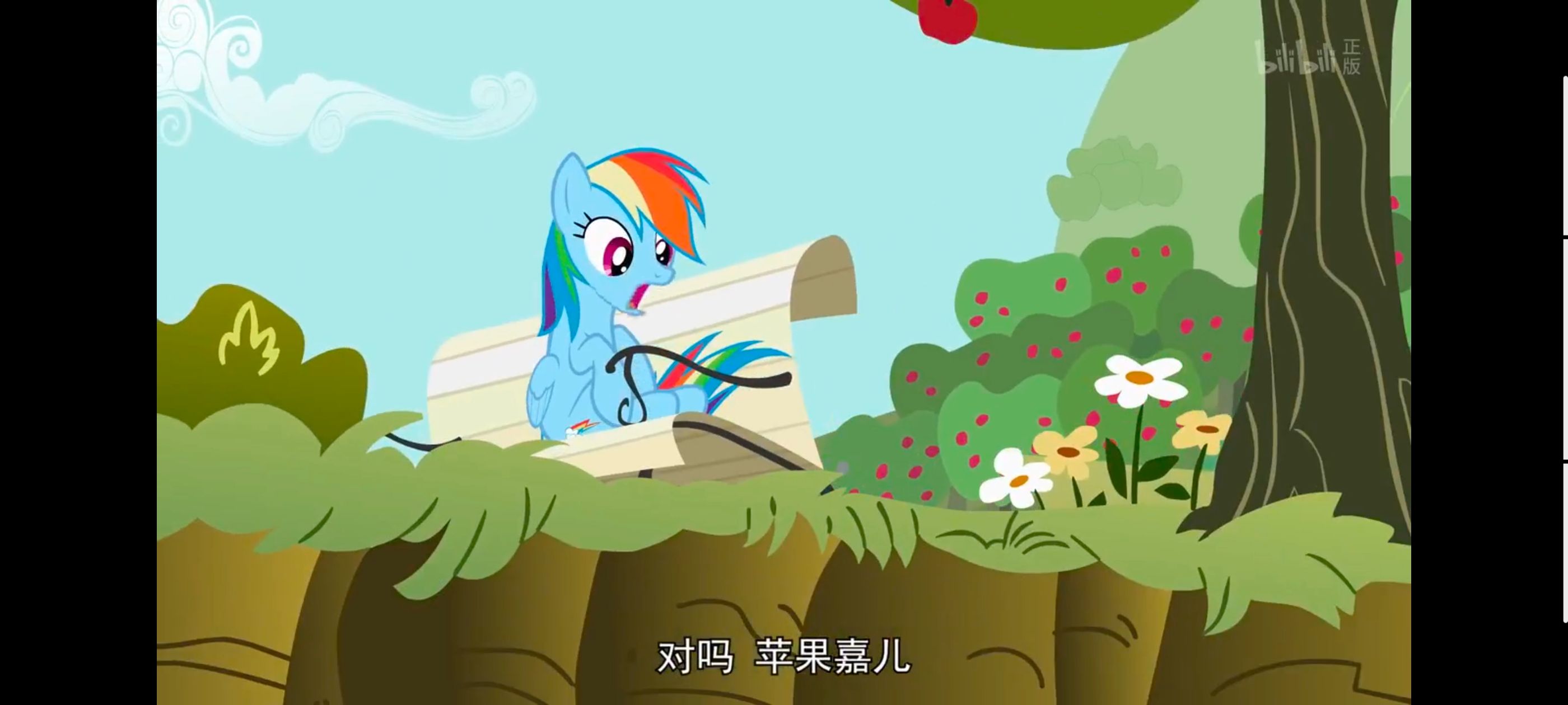 小马宝莉,小马宝莉友谊魔法,彩虹小马,我的小马驹,动画,动漫,番剧,ACG