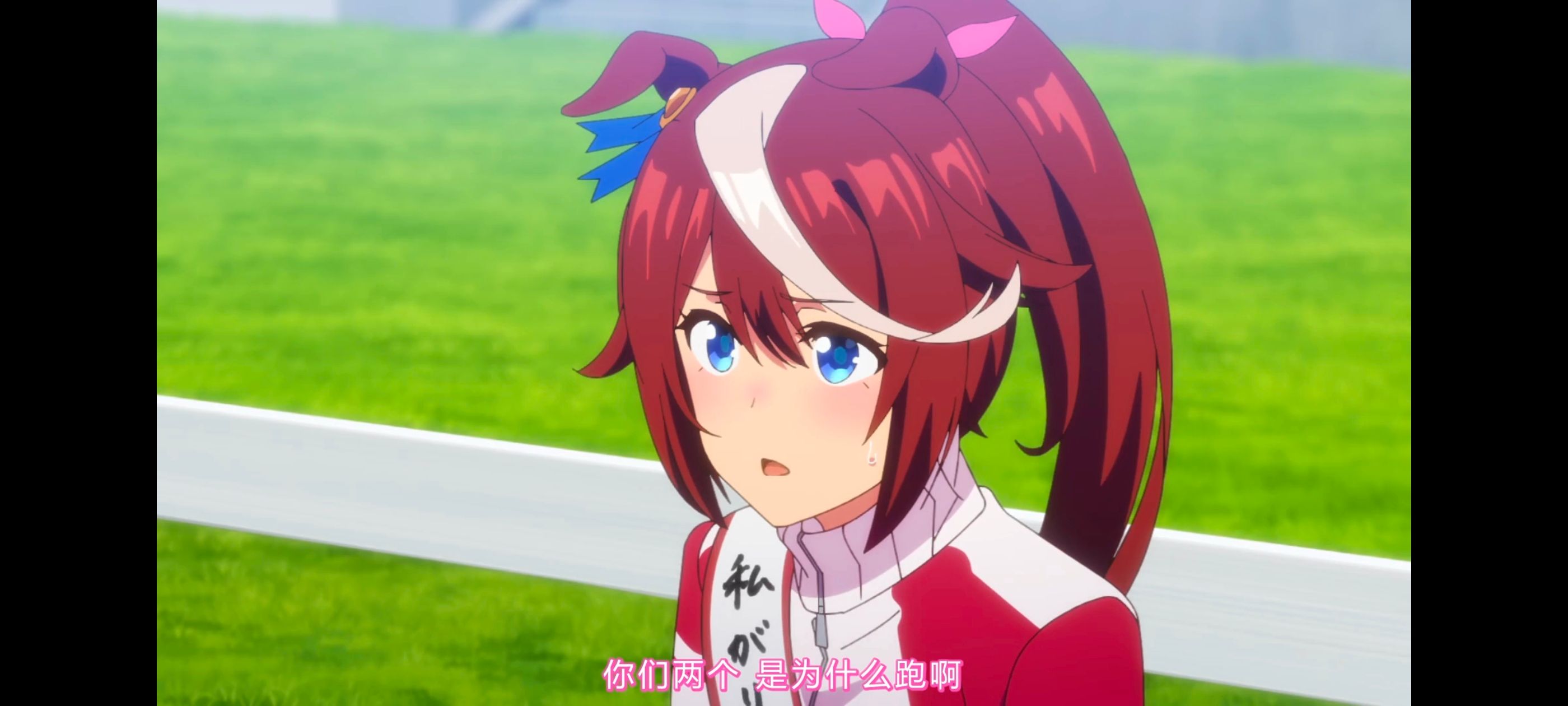 赛马娘,赛马娘PrettyDreby,动画,动漫,番剧,ACG