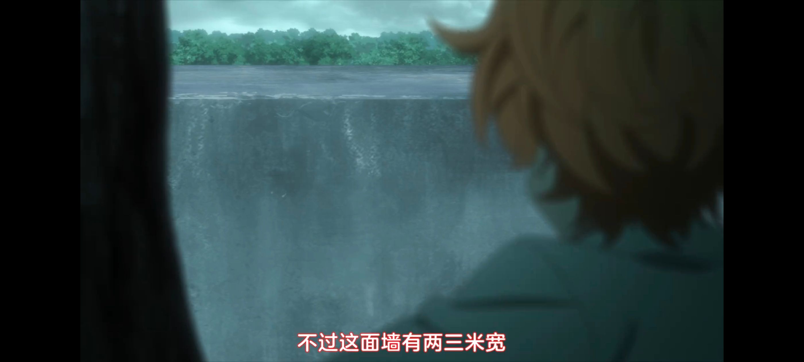 约定的梦幻岛,动画,动漫,番剧,ACG